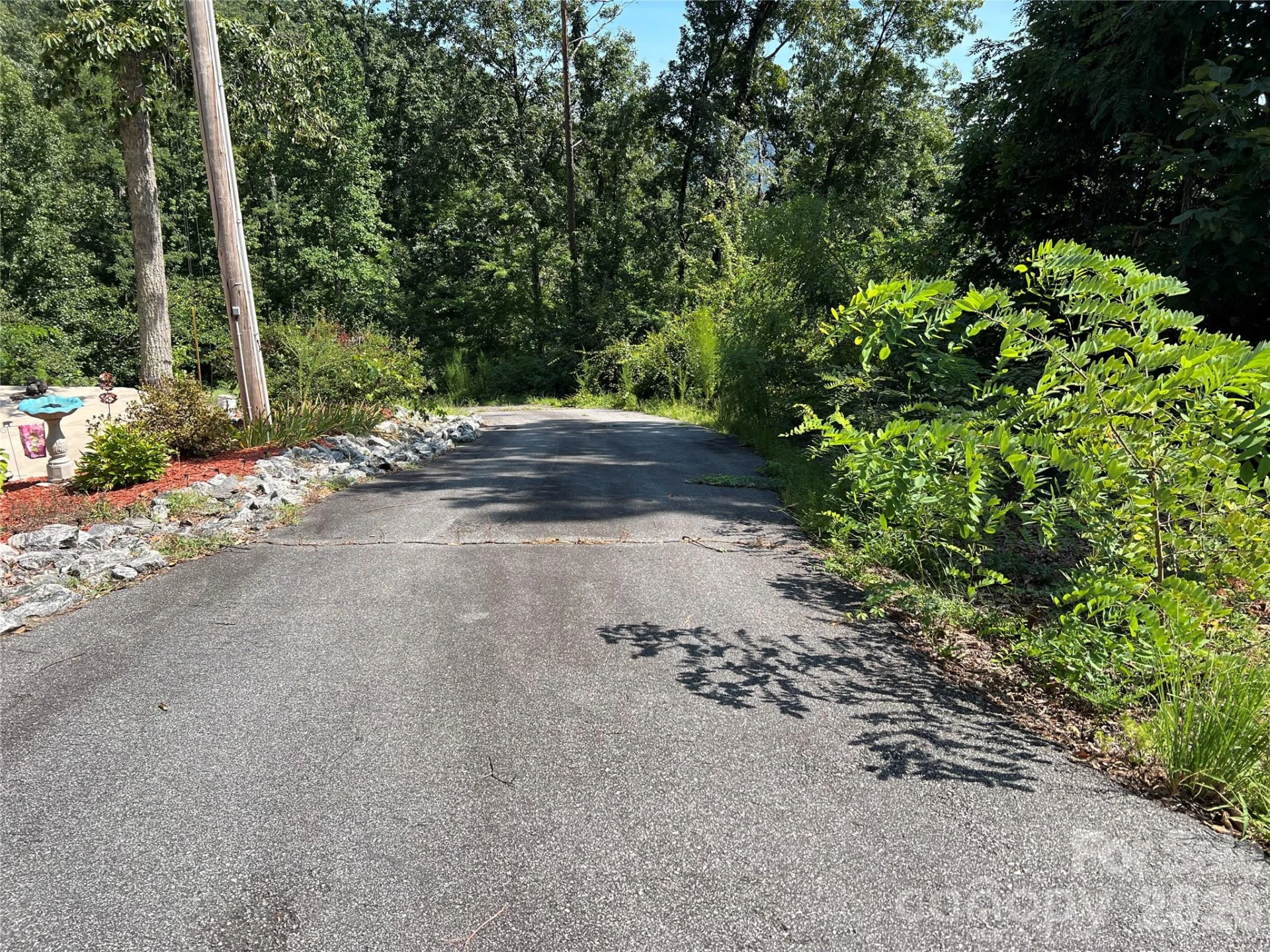 00 Brighton Drive #233 - Photo 2