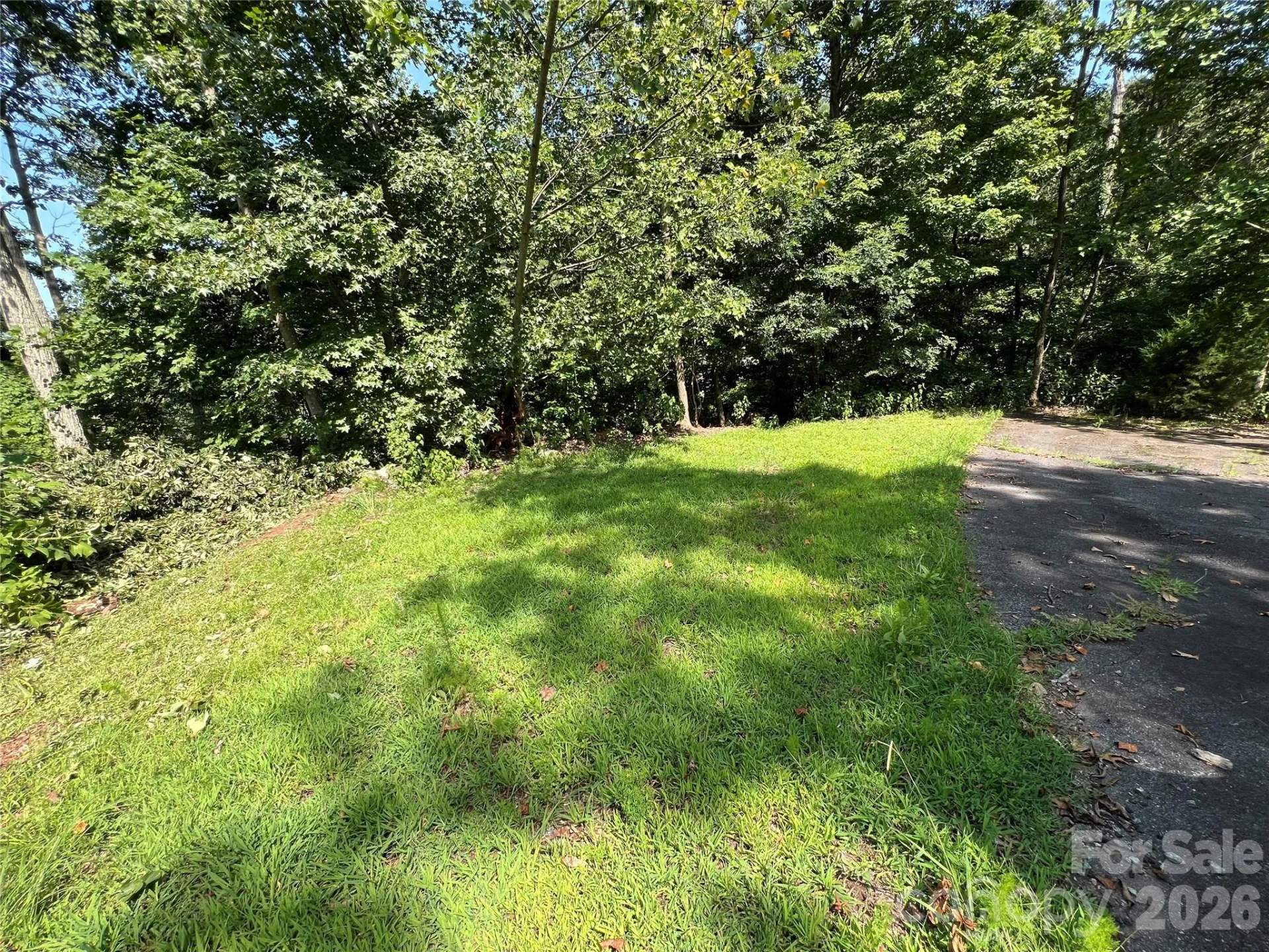 00 Brighton Drive #233 - Photo 7