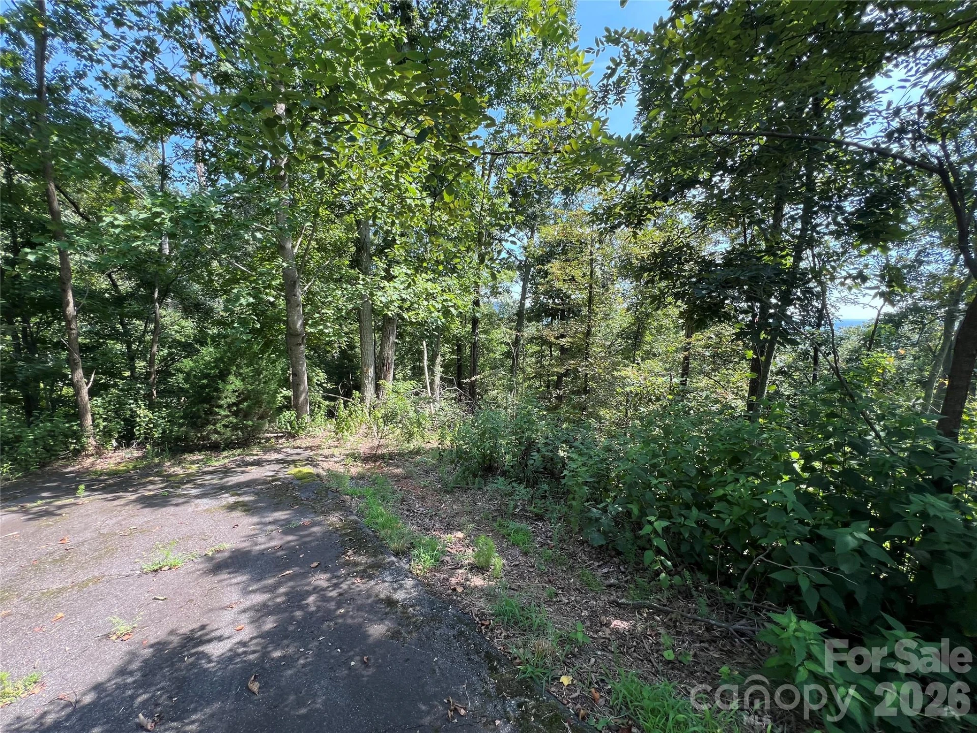 00 Brighton Drive #233 - Photo 9