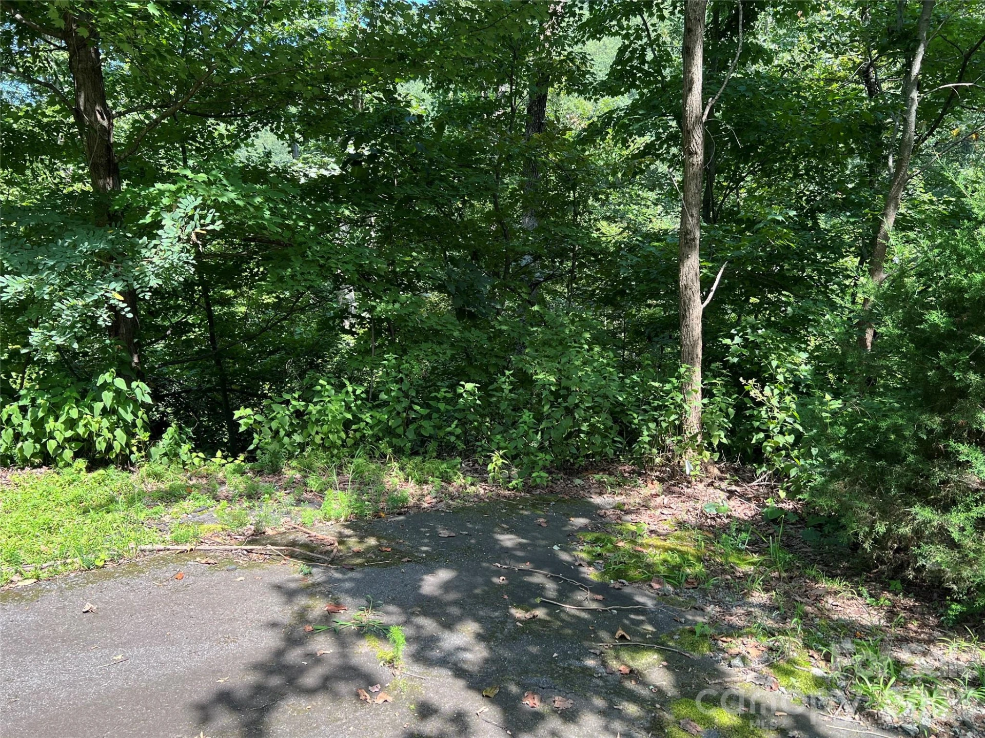 00 Brighton Drive #233 - Photo 12