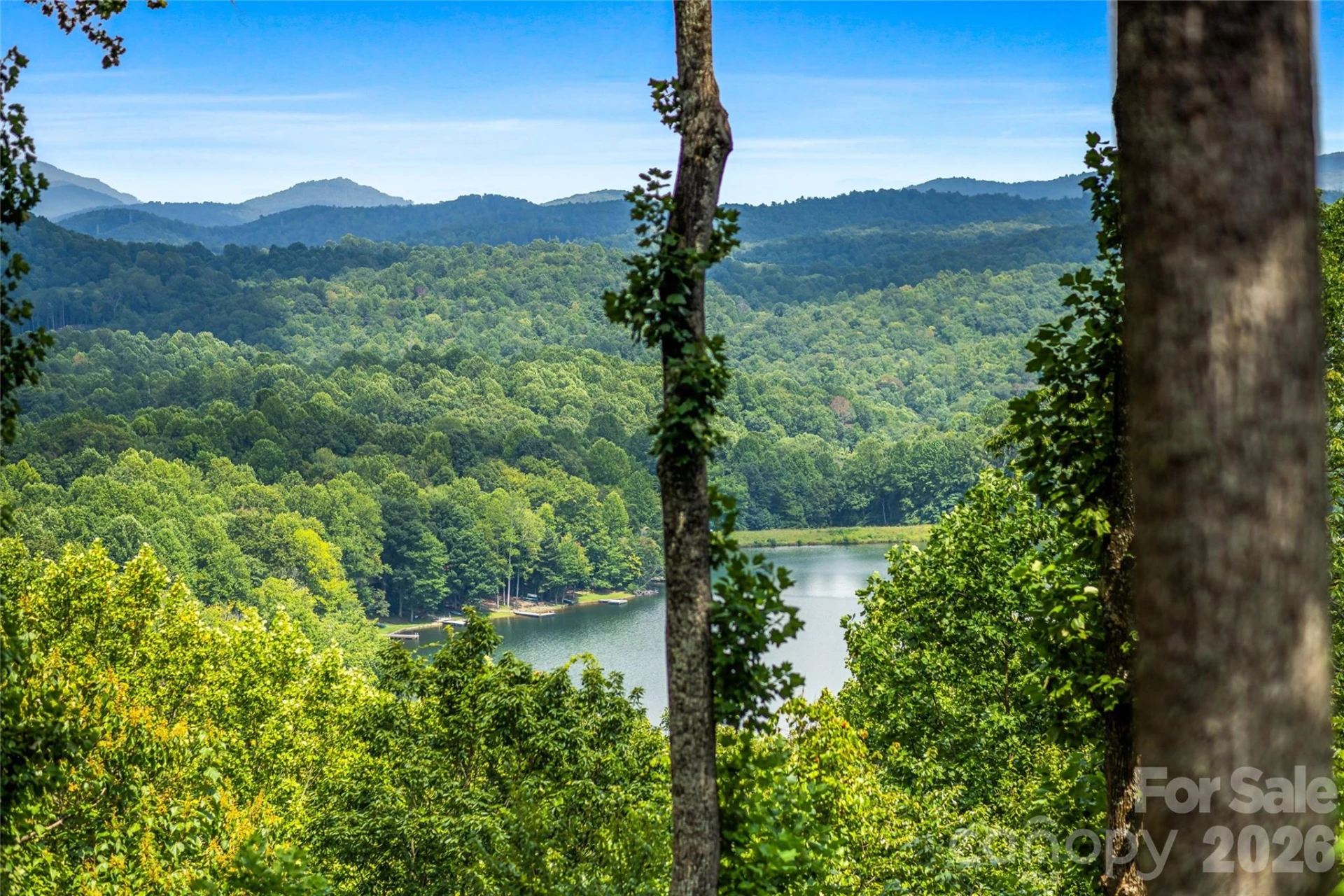 600 Tanglewood Lane - Photo 19