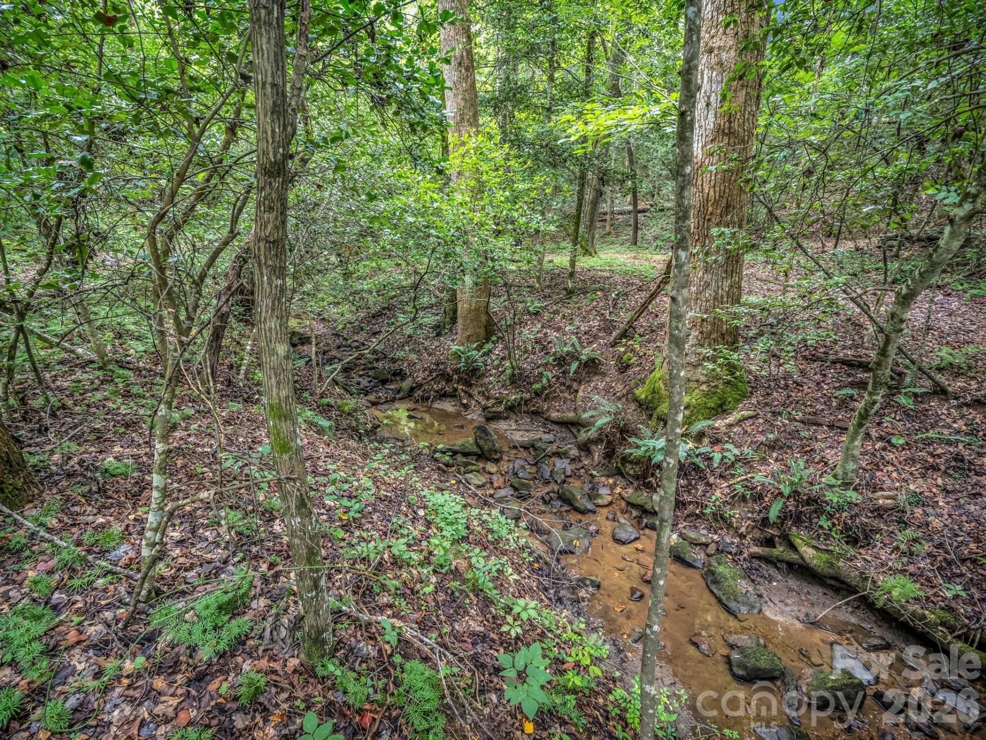 588 Hog Pen Branch Road - Photo 8