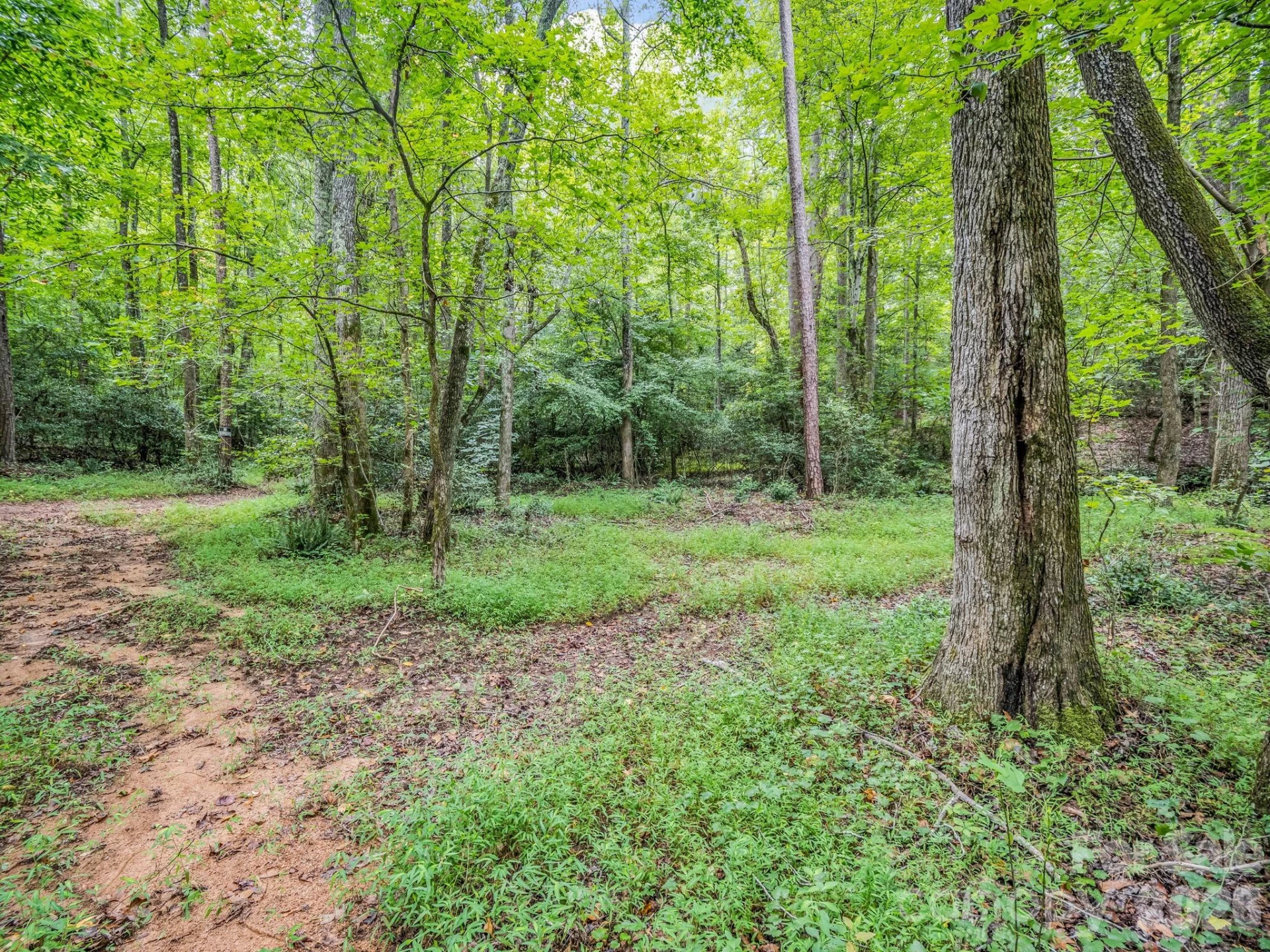588 Hog Pen Branch Road - Photo 9