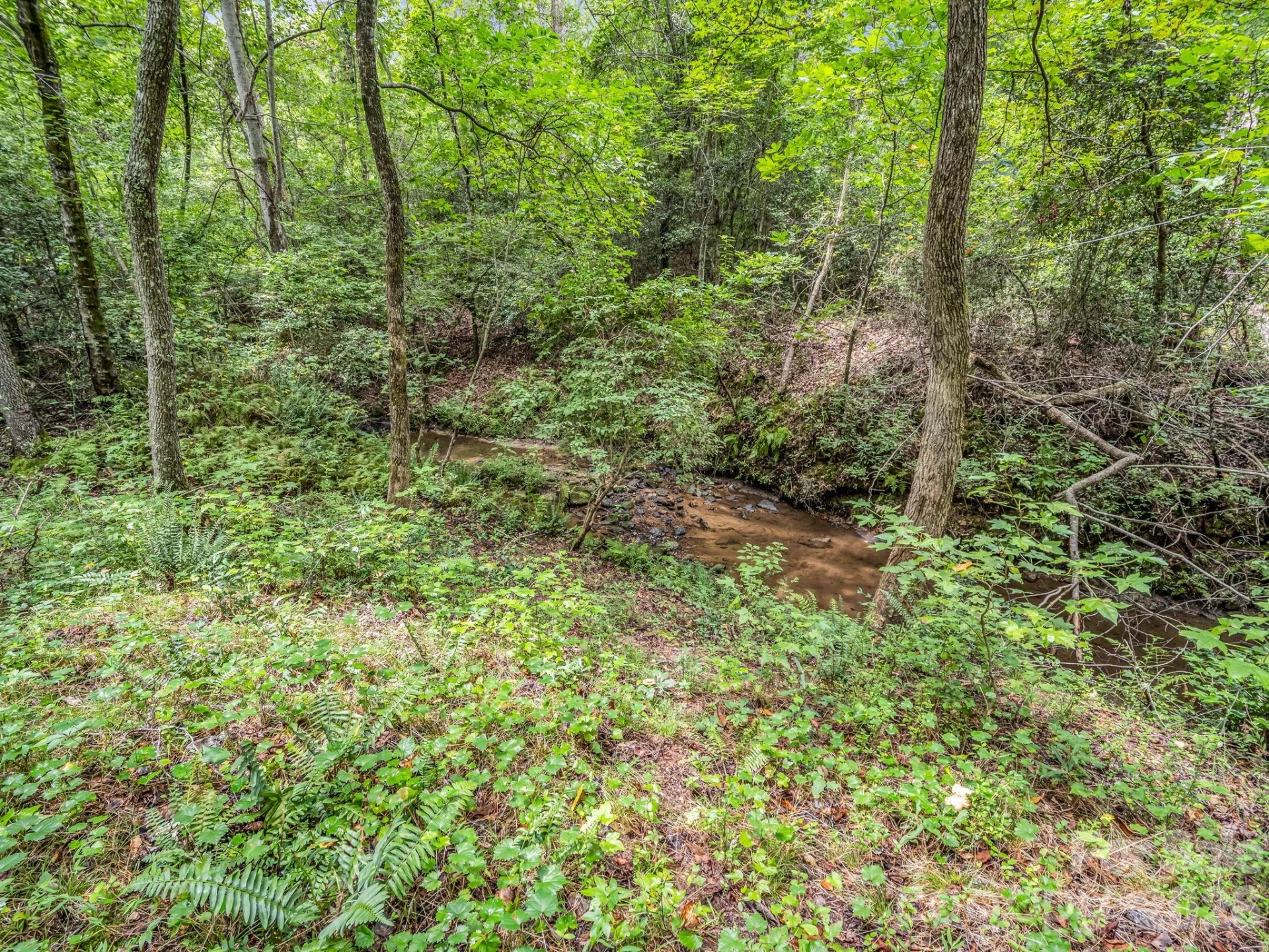 588 Hog Pen Branch Road - Photo 10