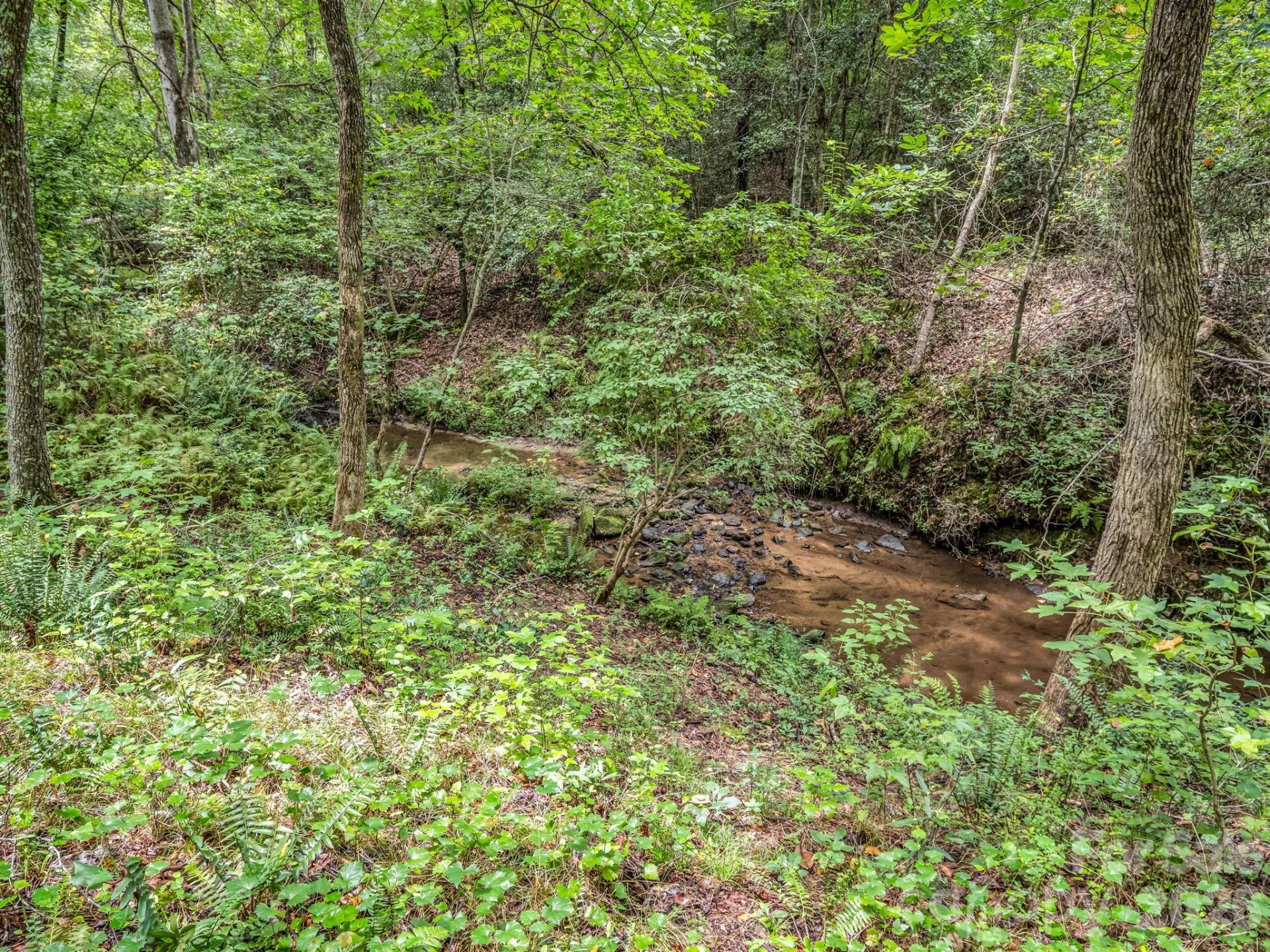 588 Hog Pen Branch Road - Photo 11