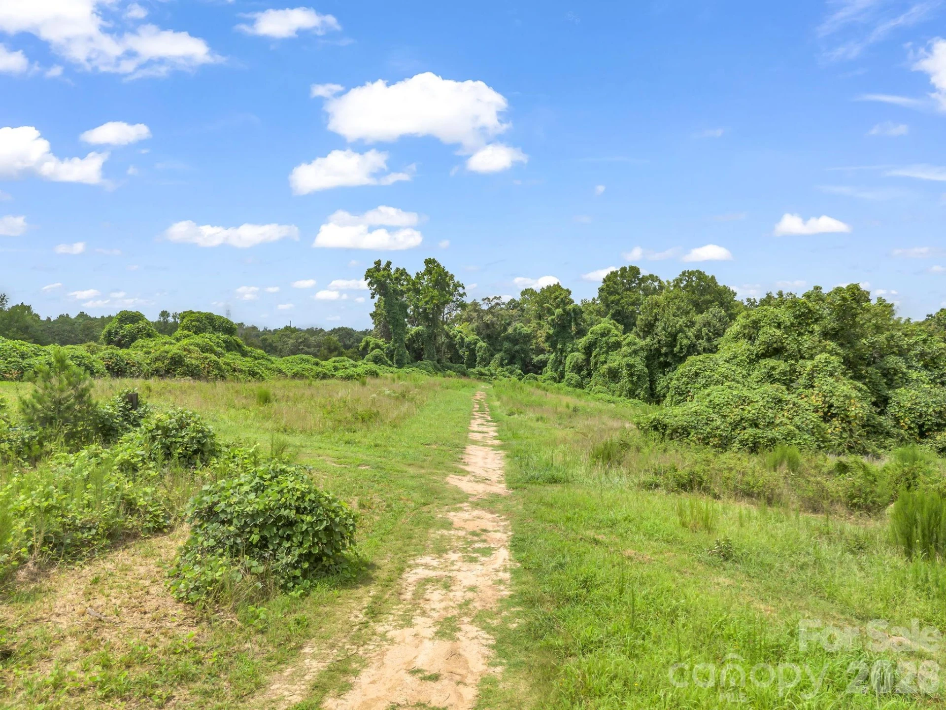 588 Hog Pen Branch Road - Photo 37