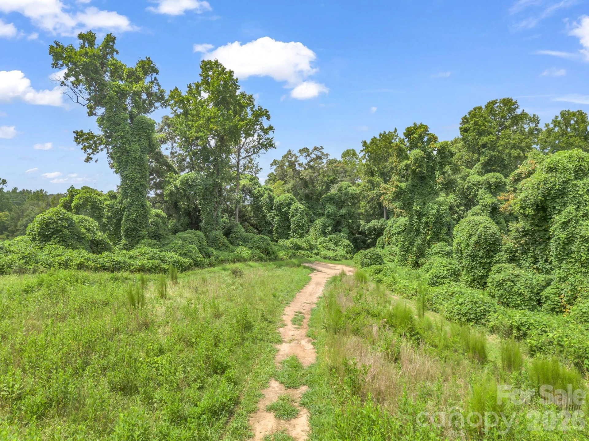 588 Hog Pen Branch Road - Photo 39