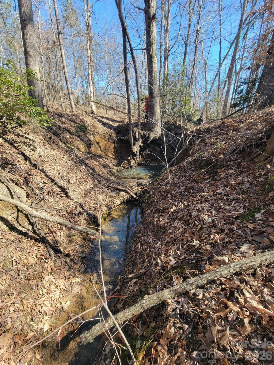 588 Hog Pen Branch Road - Photo 40