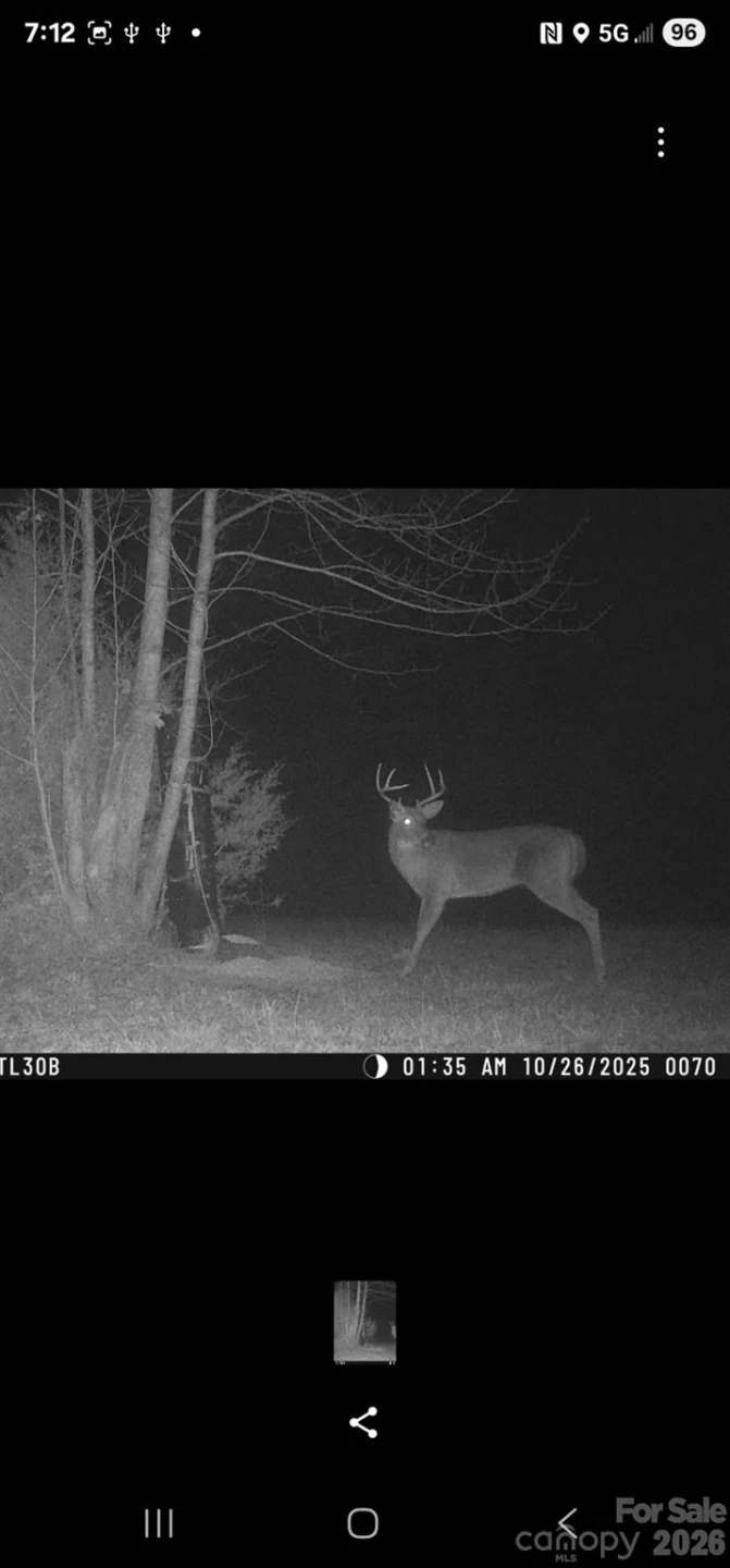 588 Hog Pen Branch Road - Photo 44
