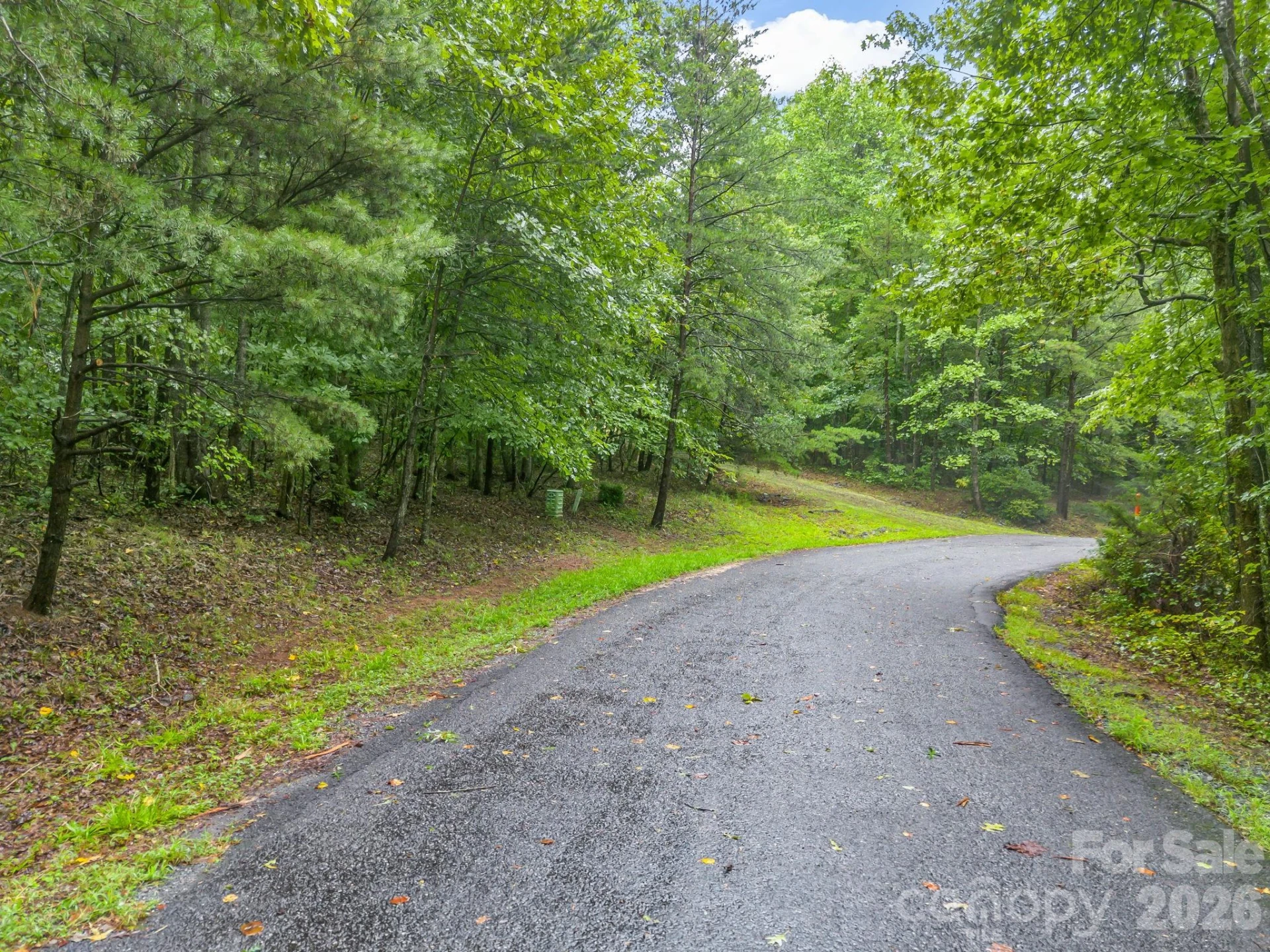 0 Observation Ridge - Photo 3