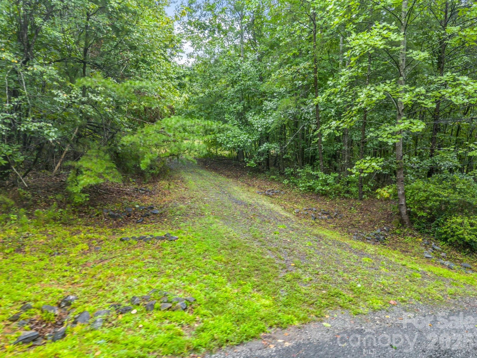 0 Observation Ridge - Photo 4