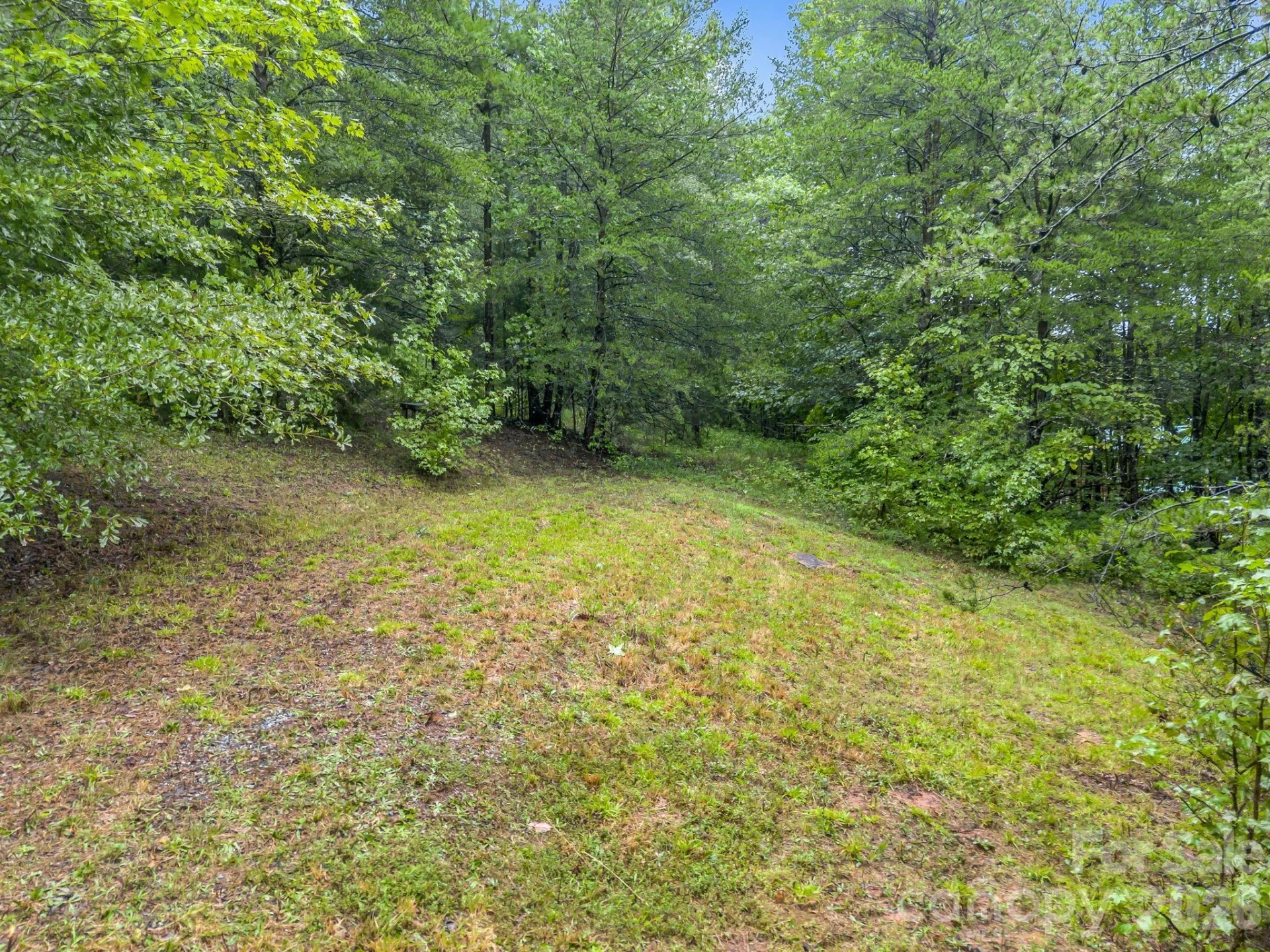 0 Observation Ridge - Photo 6