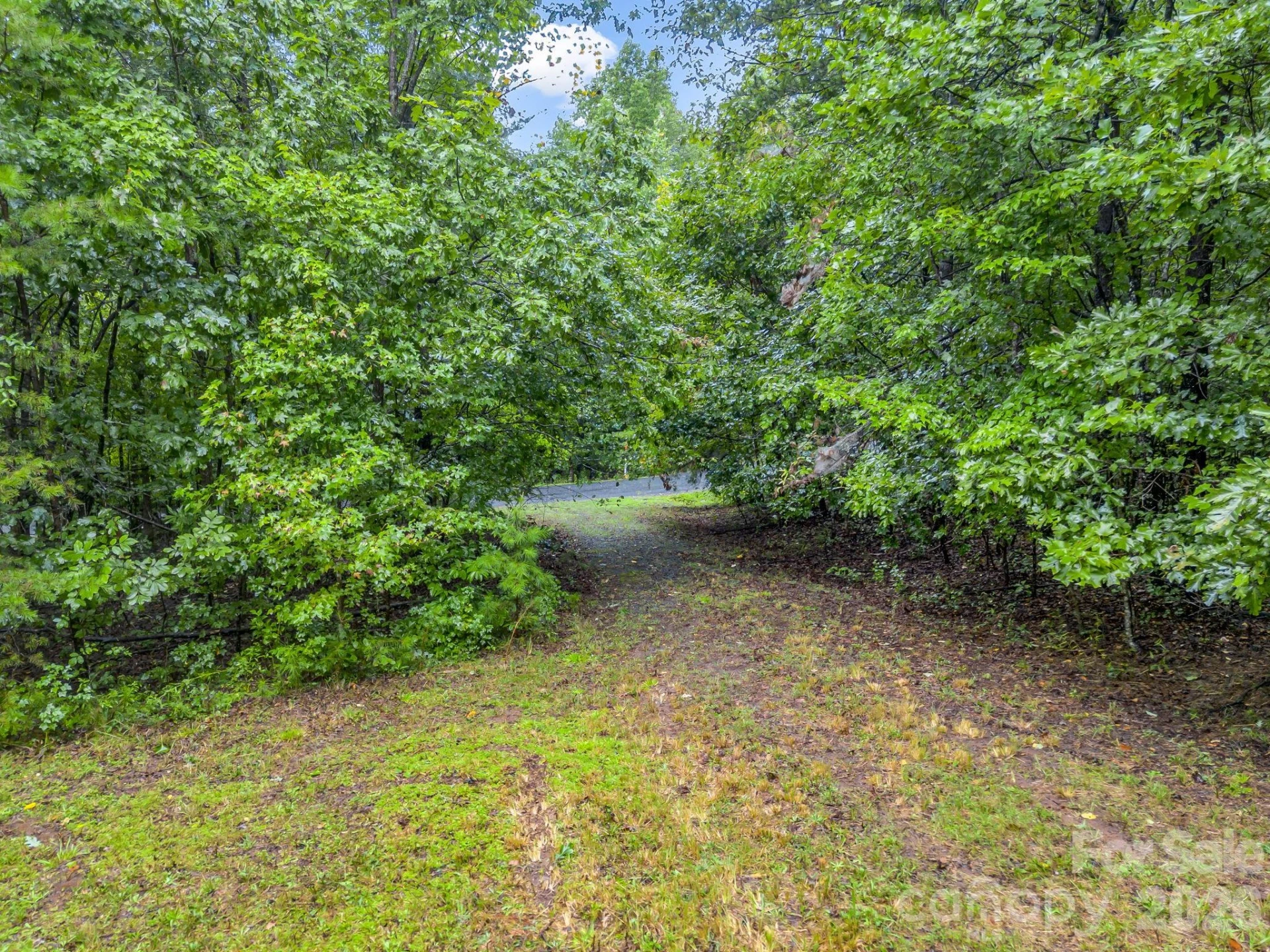 0 Observation Ridge - Photo 7