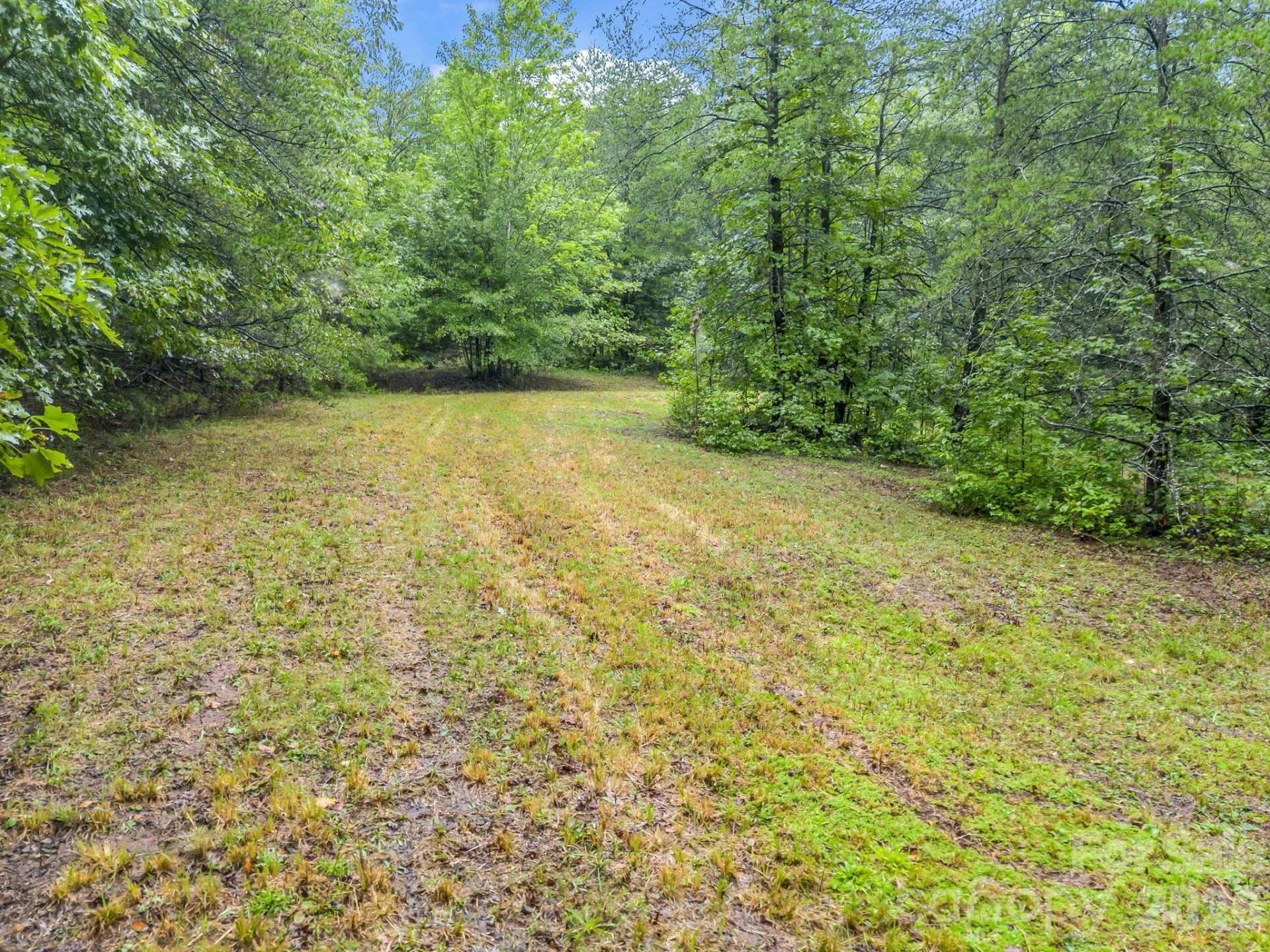 0 Observation Ridge - Photo 8