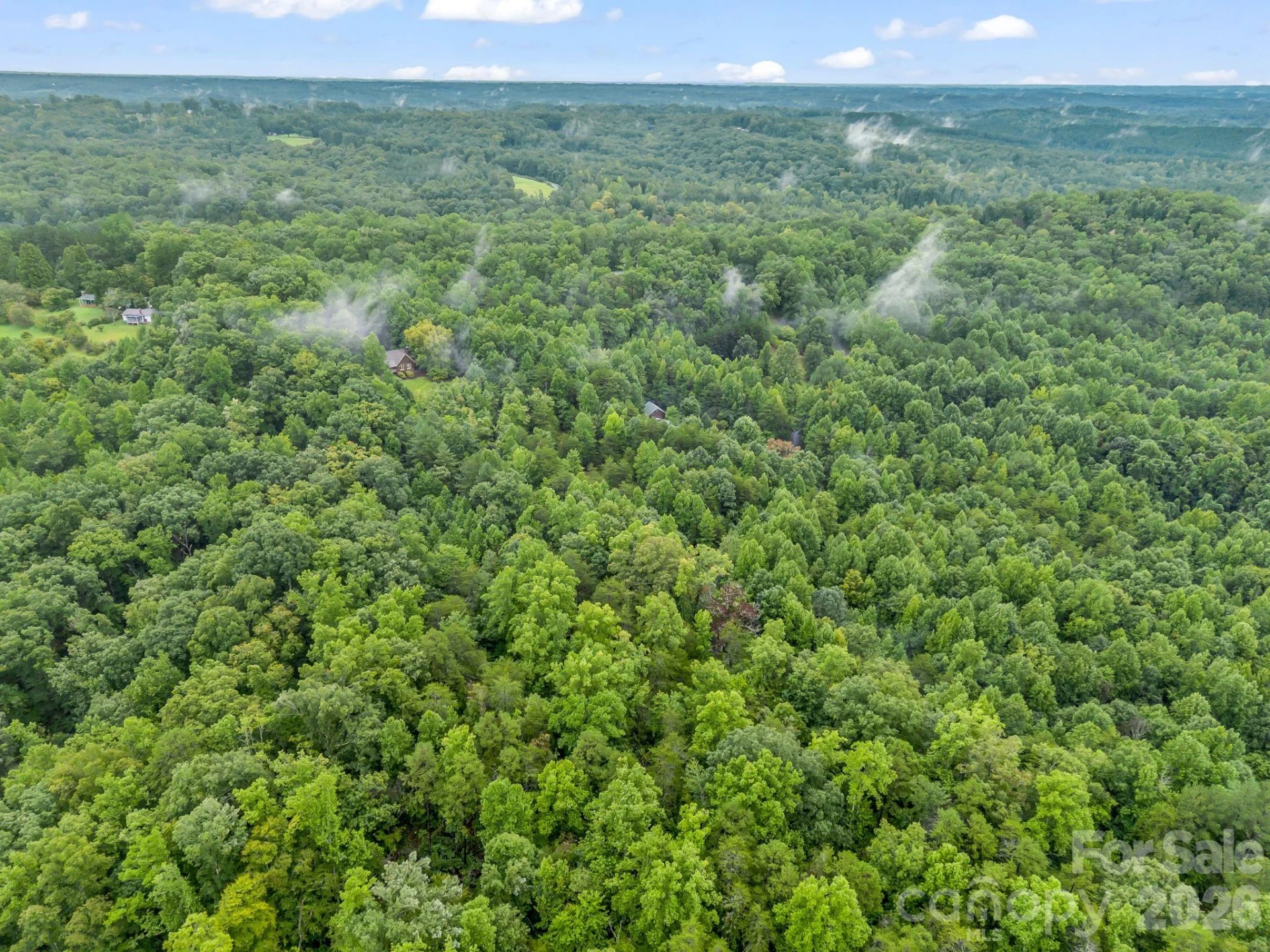 0 Observation Ridge - Photo 12