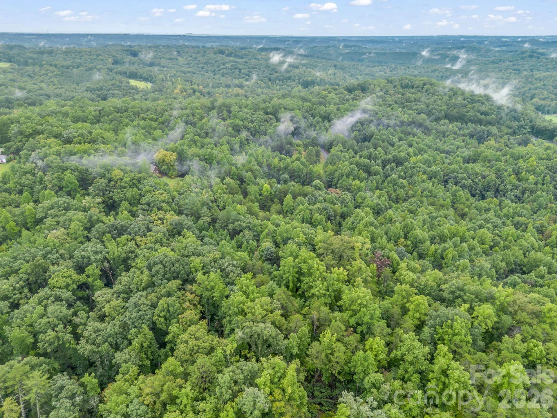 0 Observation Ridge - Photo 13