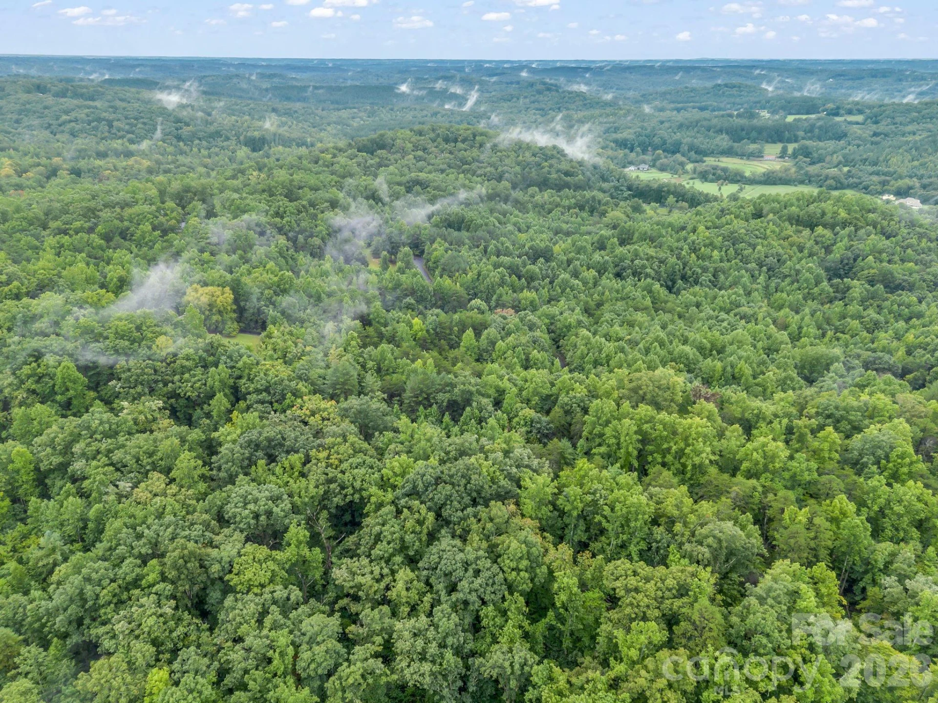 0 Observation Ridge - Photo 14