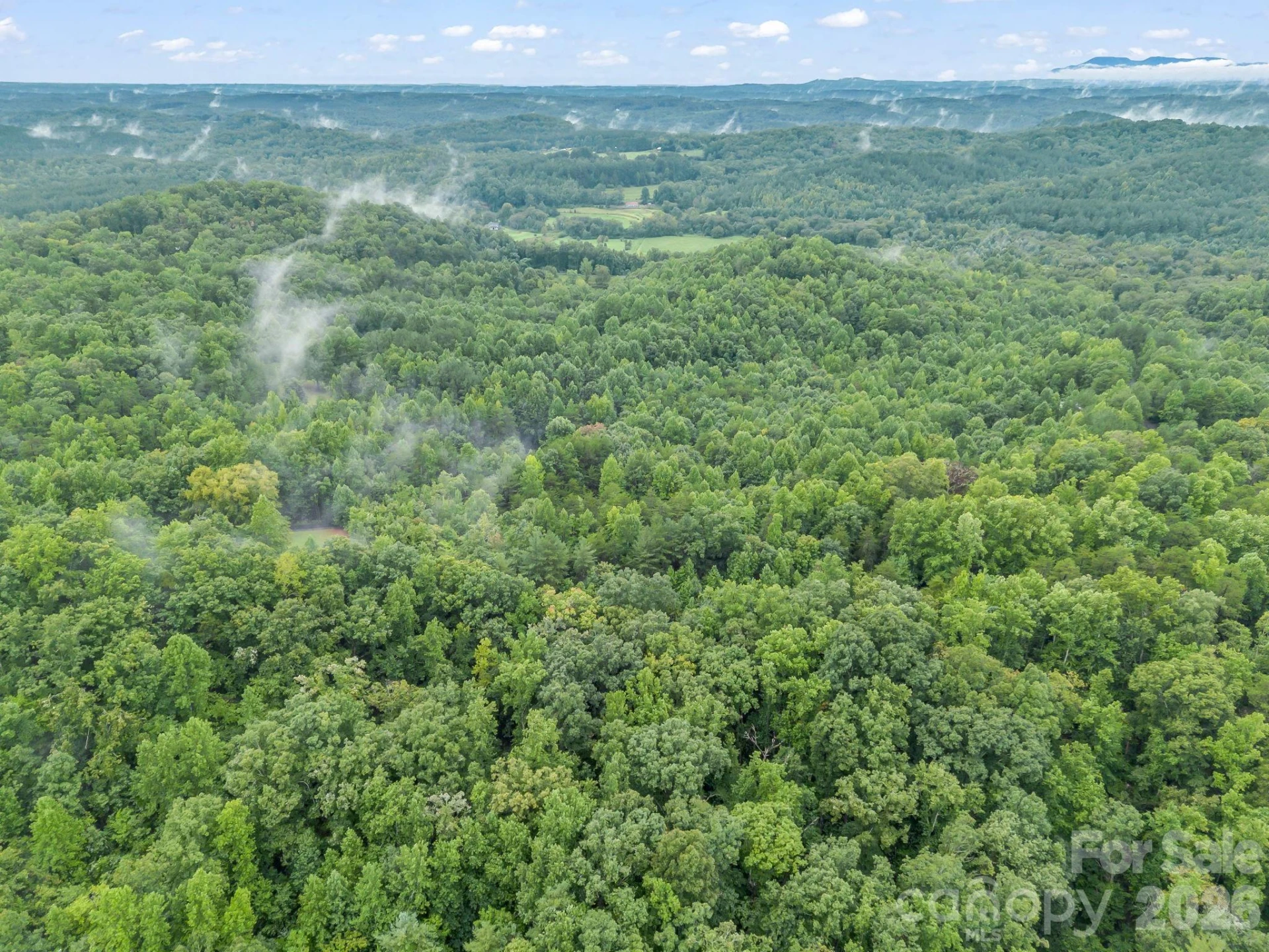 0 Observation Ridge - Photo 15