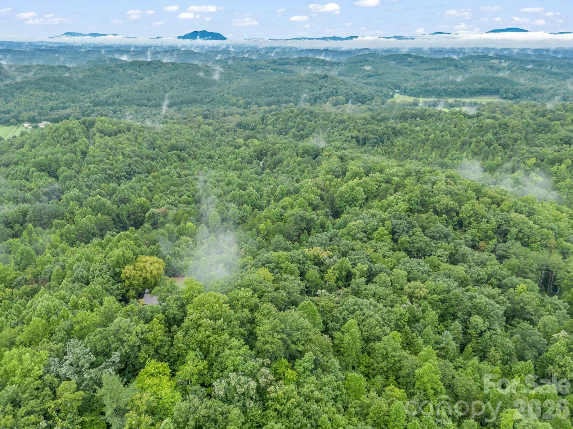 0 Observation Ridge - Photo 16
