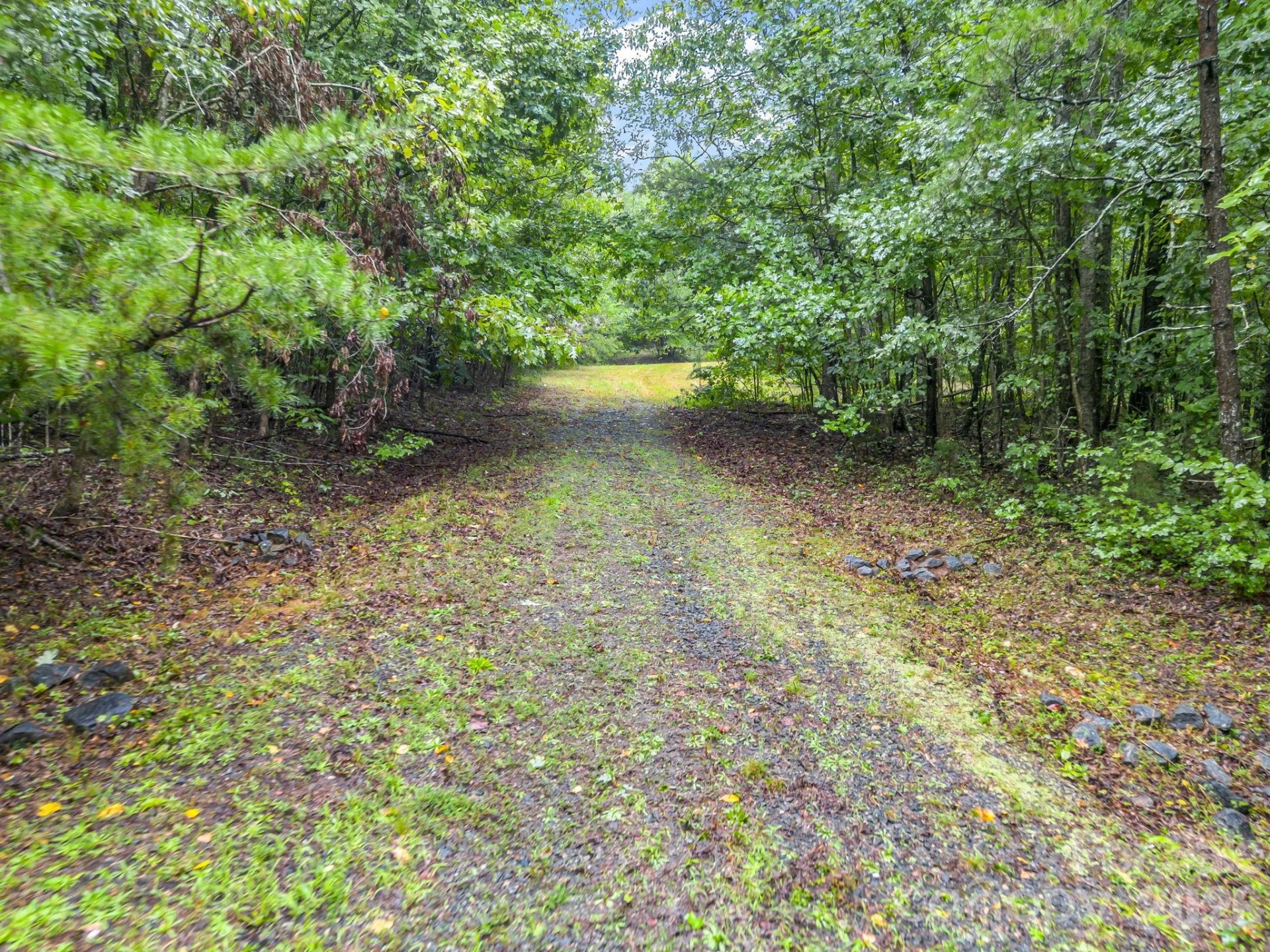 0 Observation Ridge - Photo 24