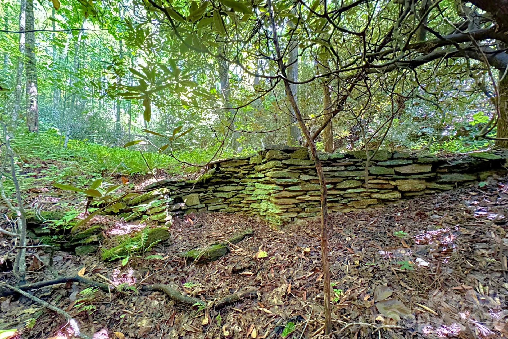 999 Fowler Lane - Photo 2