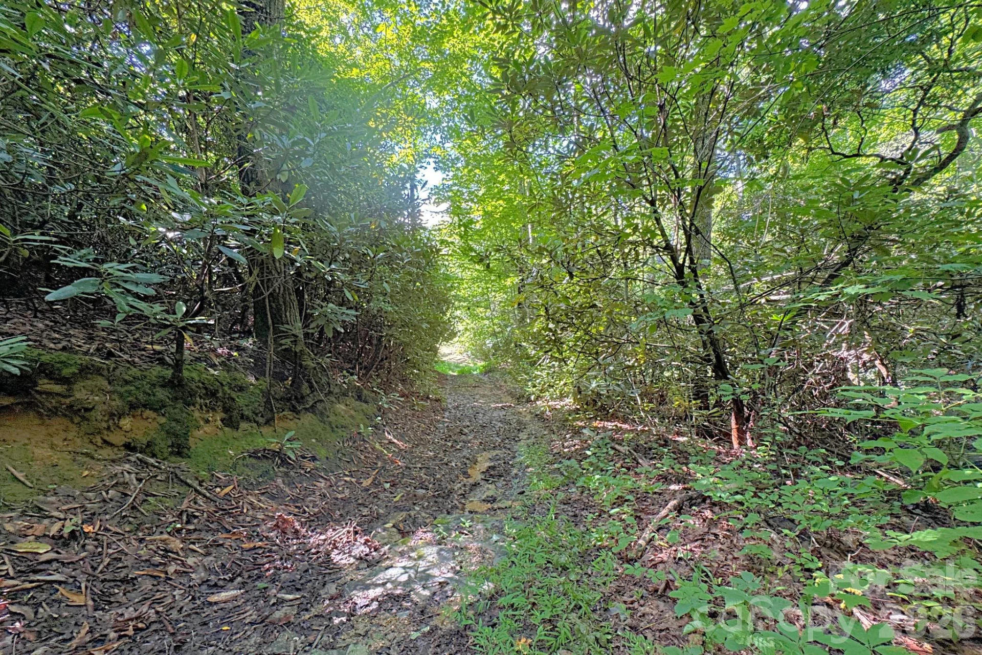 999 Fowler Lane - Photo 3