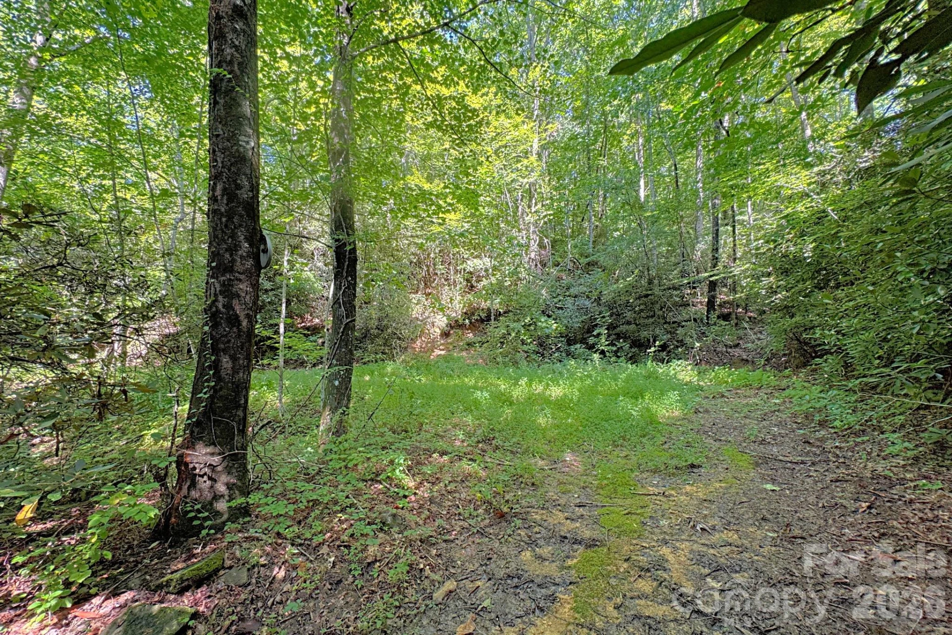 999 Fowler Lane - Photo 4
