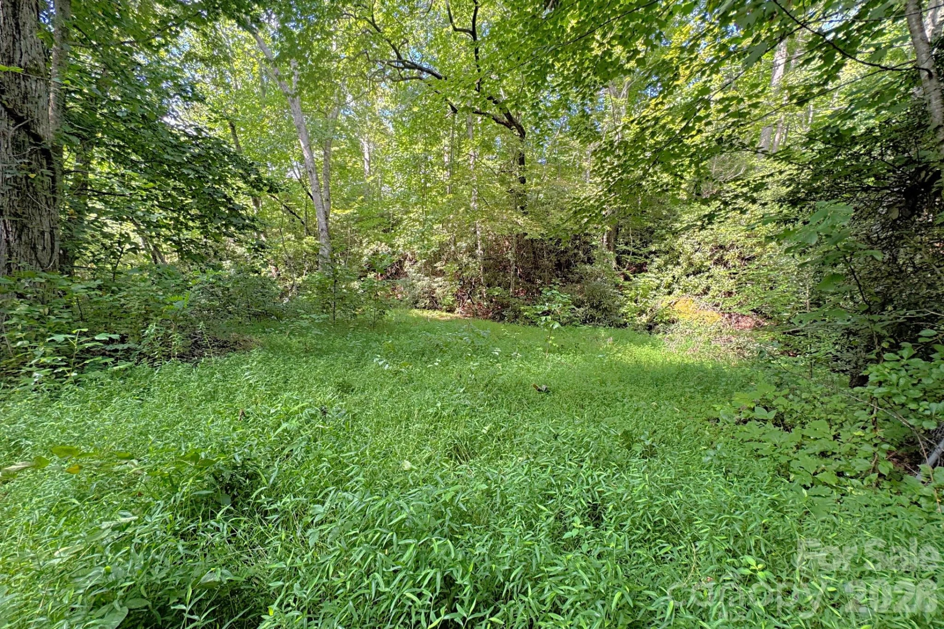 999 Fowler Lane - Photo 5