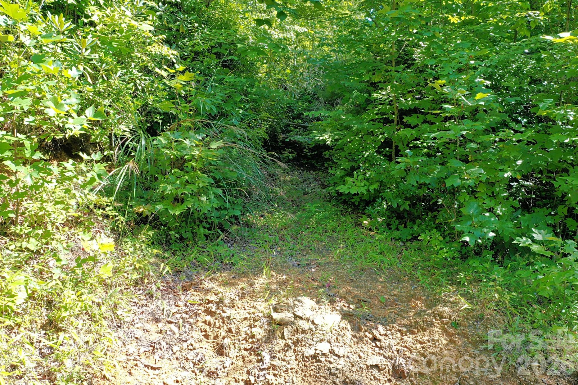 999 Fowler Lane - Photo 8