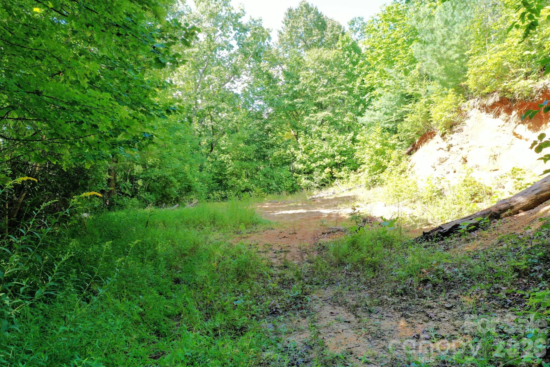 999 Fowler Lane - Photo 10