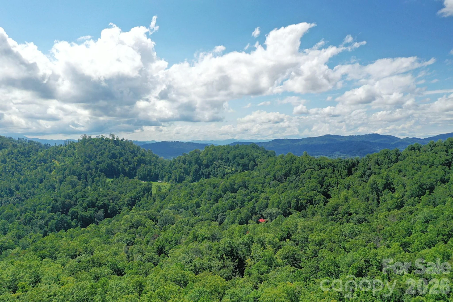 999 Fowler Lane - Photo 16