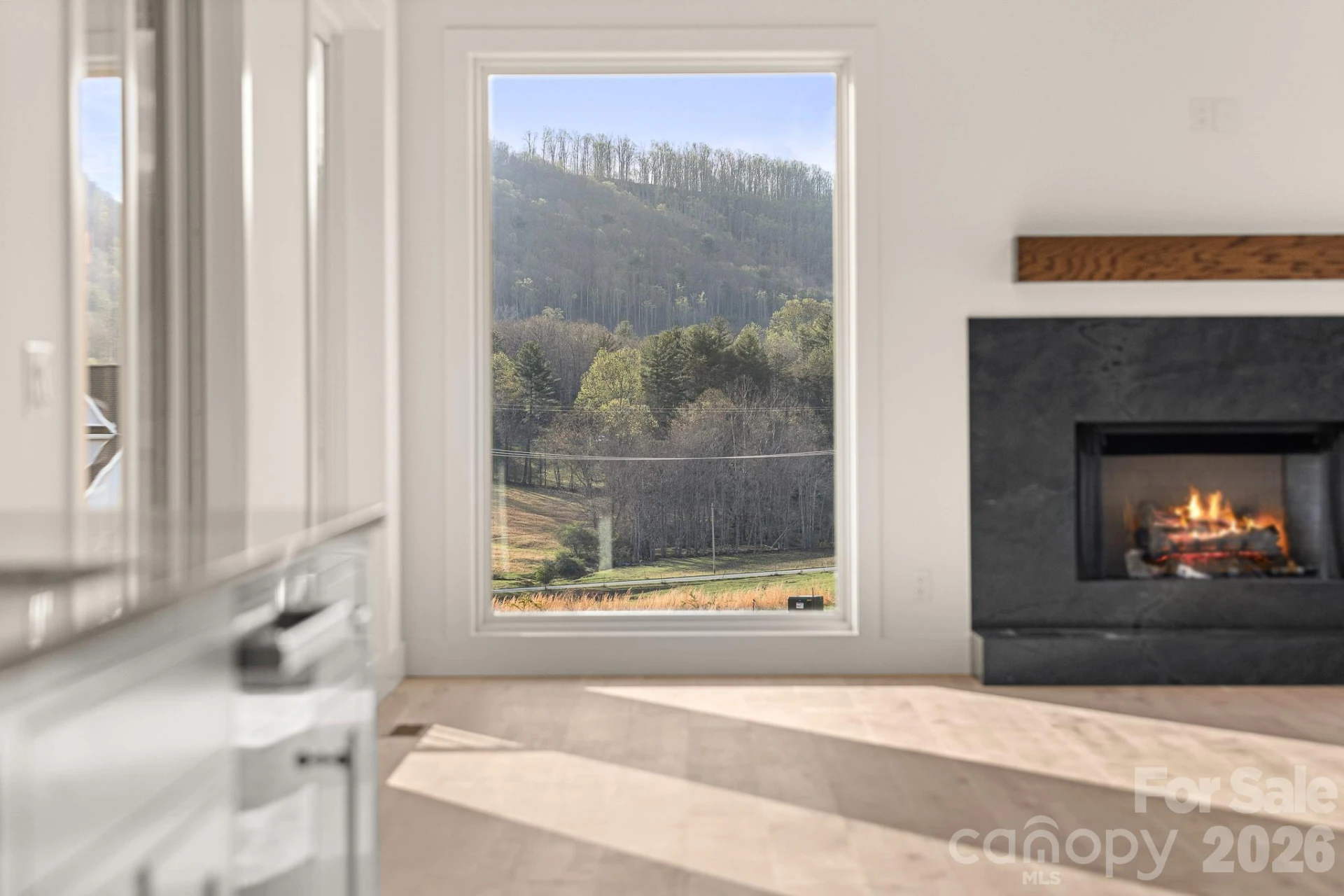 133 Golden Pasture Drive - Photo 5