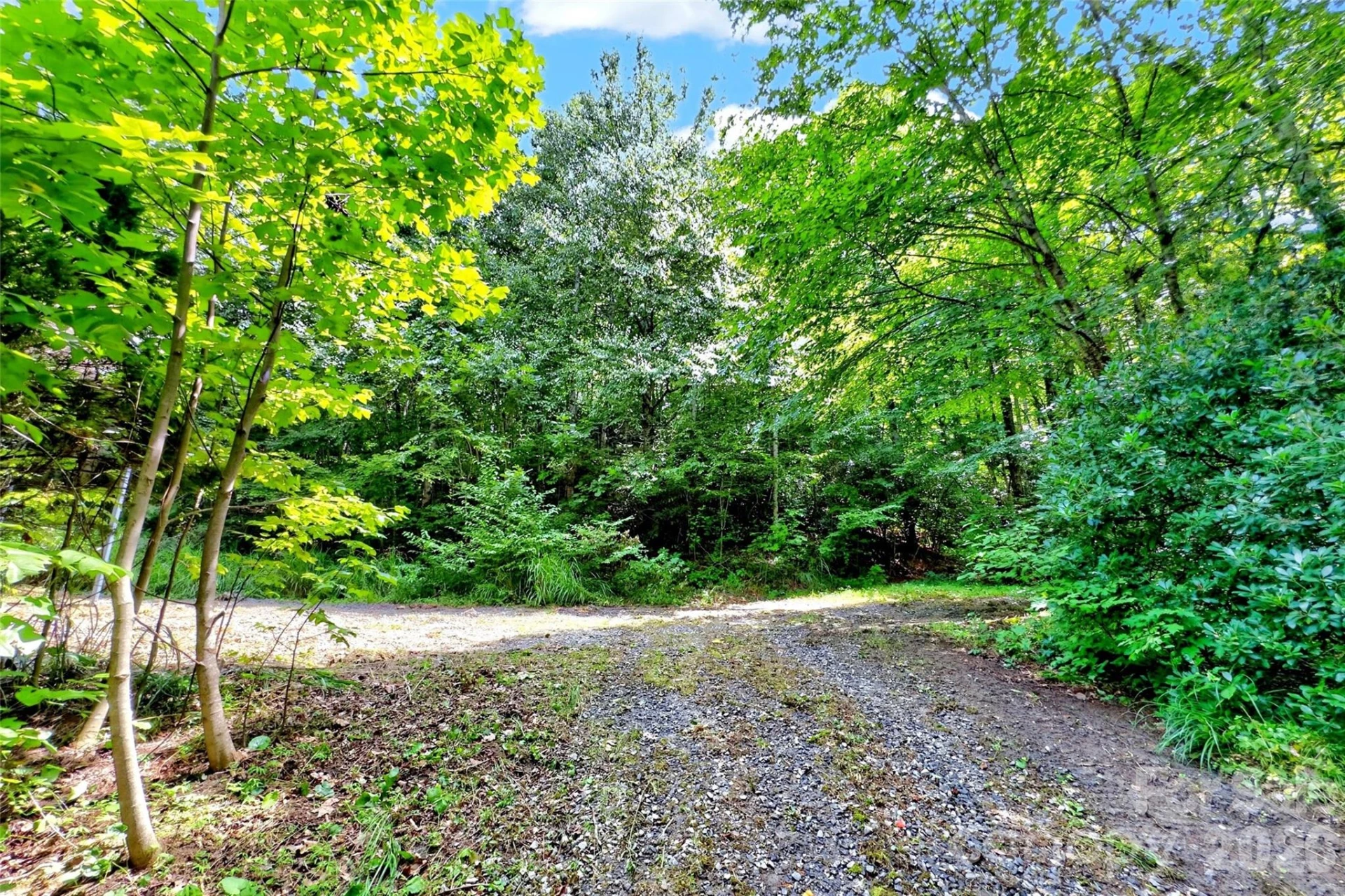 111 Walkertown Road - Photo 2