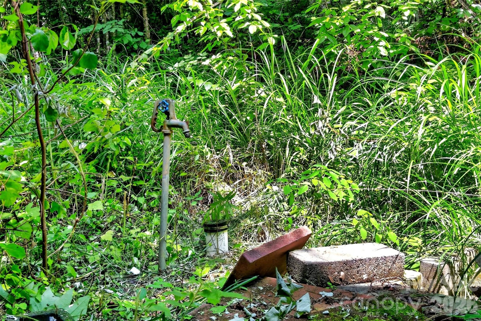 111 Walkertown Road - Photo 4