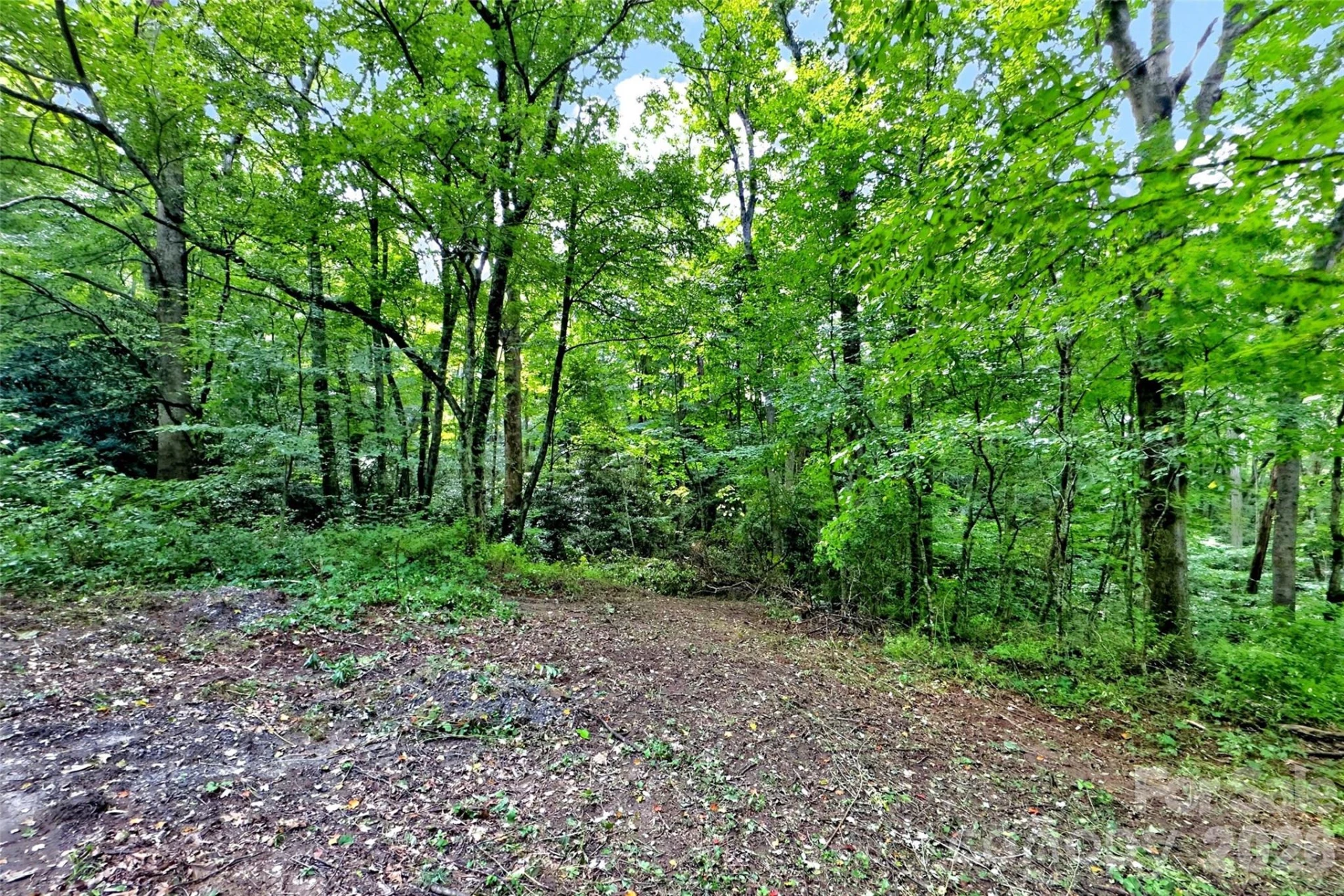 111 Walkertown Road - Photo 6