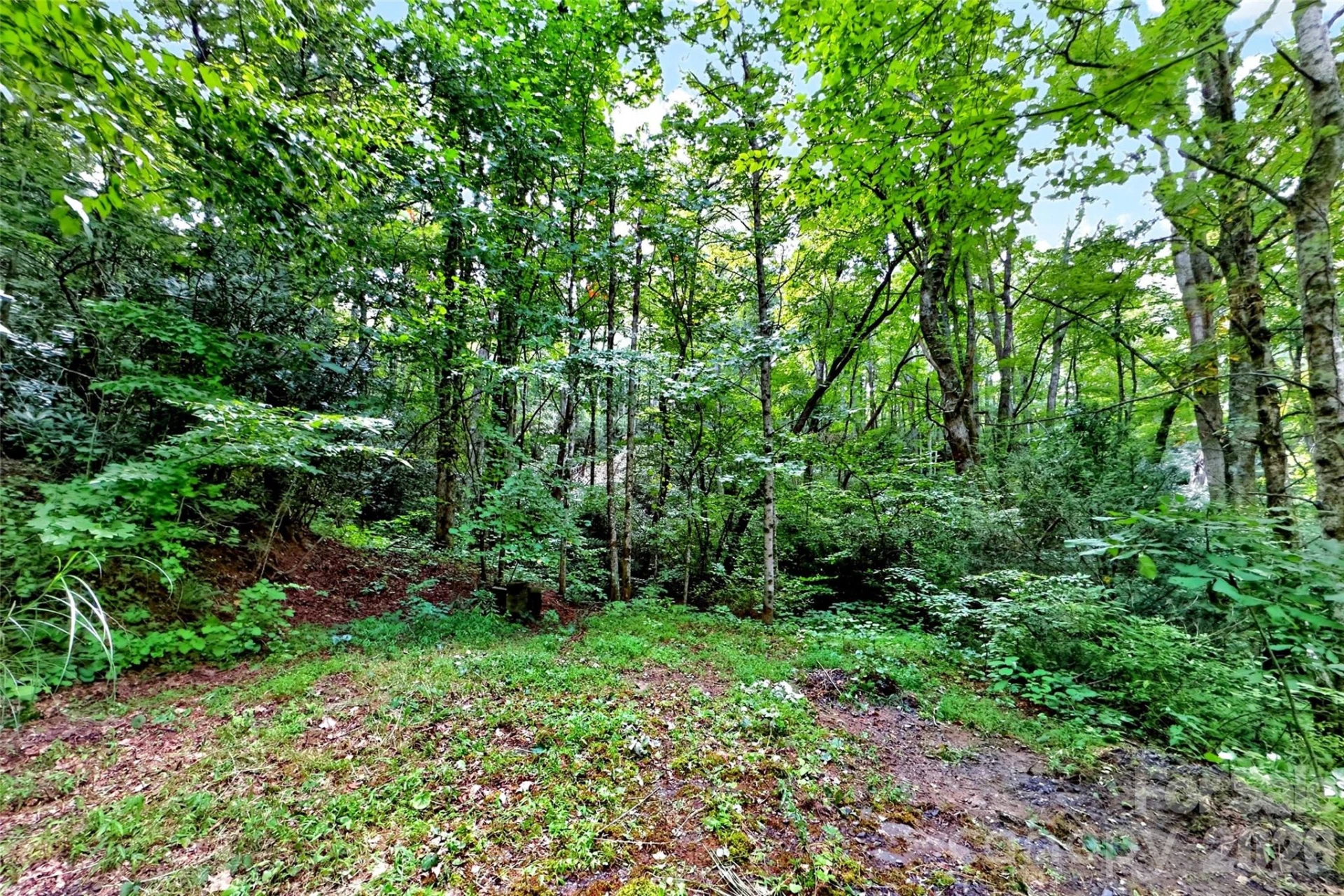 111 Walkertown Road - Photo 9