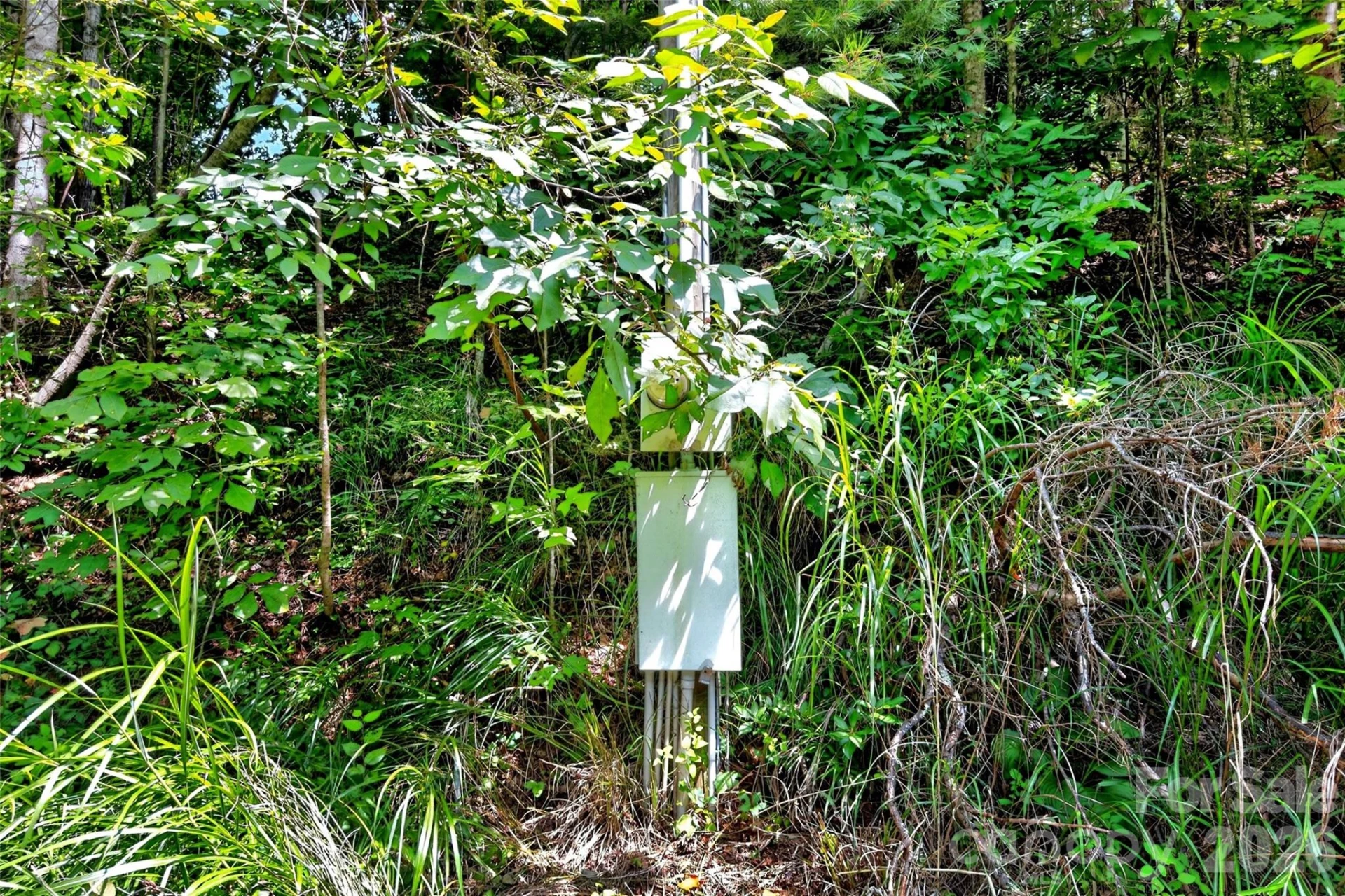 111 Walkertown Road - Photo 13