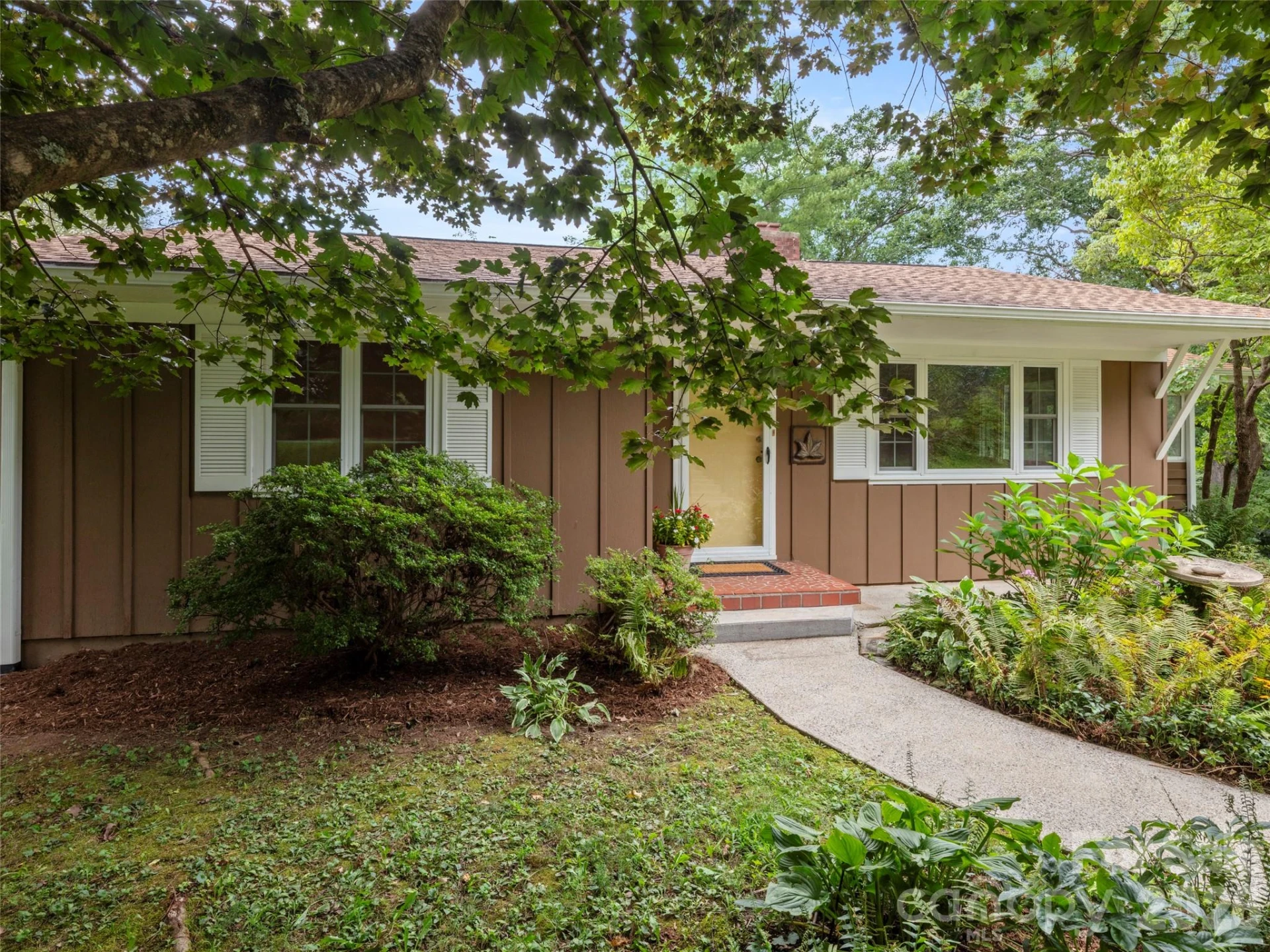 209 White Pine Drive - Photo 5