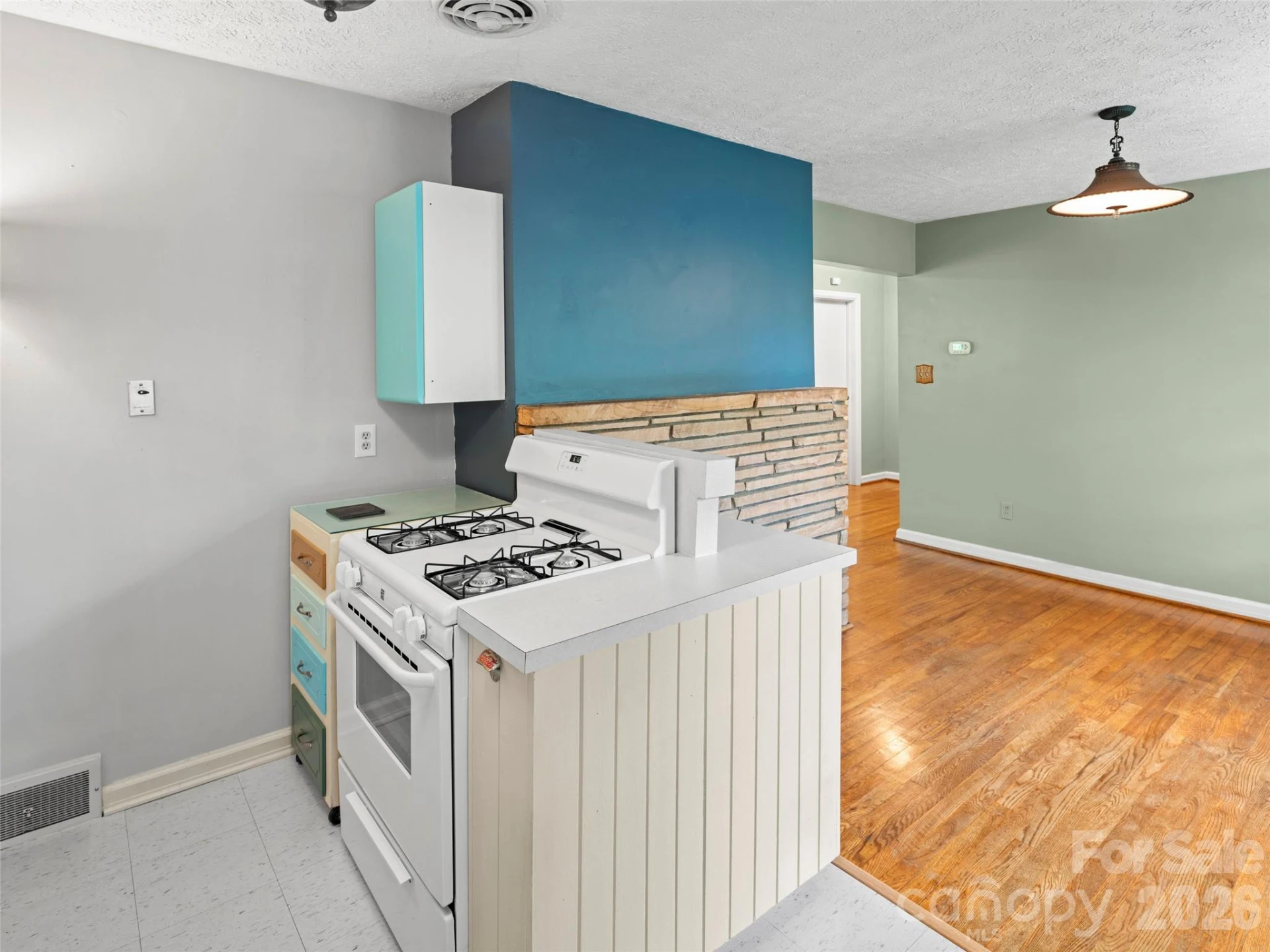 209 White Pine Drive - Photo 17