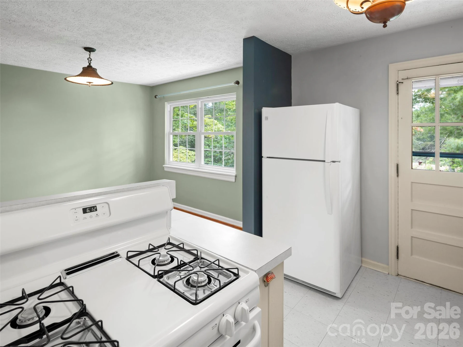 209 White Pine Drive - Photo 19