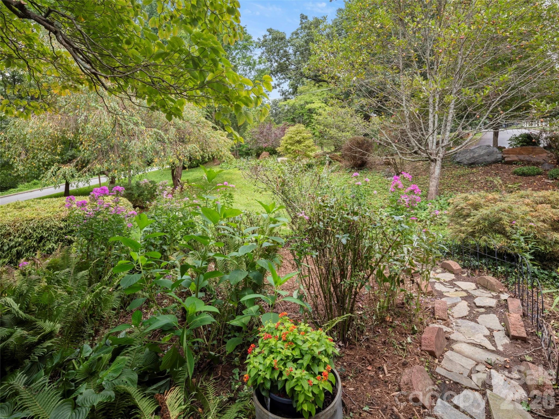 209 White Pine Drive - Photo 31
