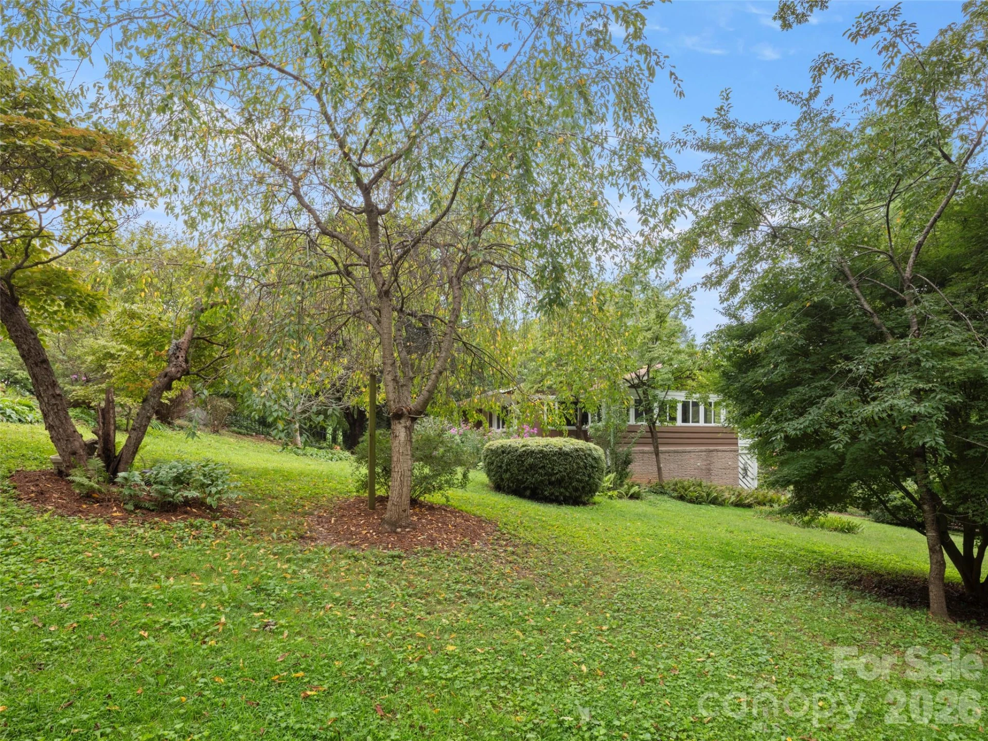 209 White Pine Drive - Photo 32
