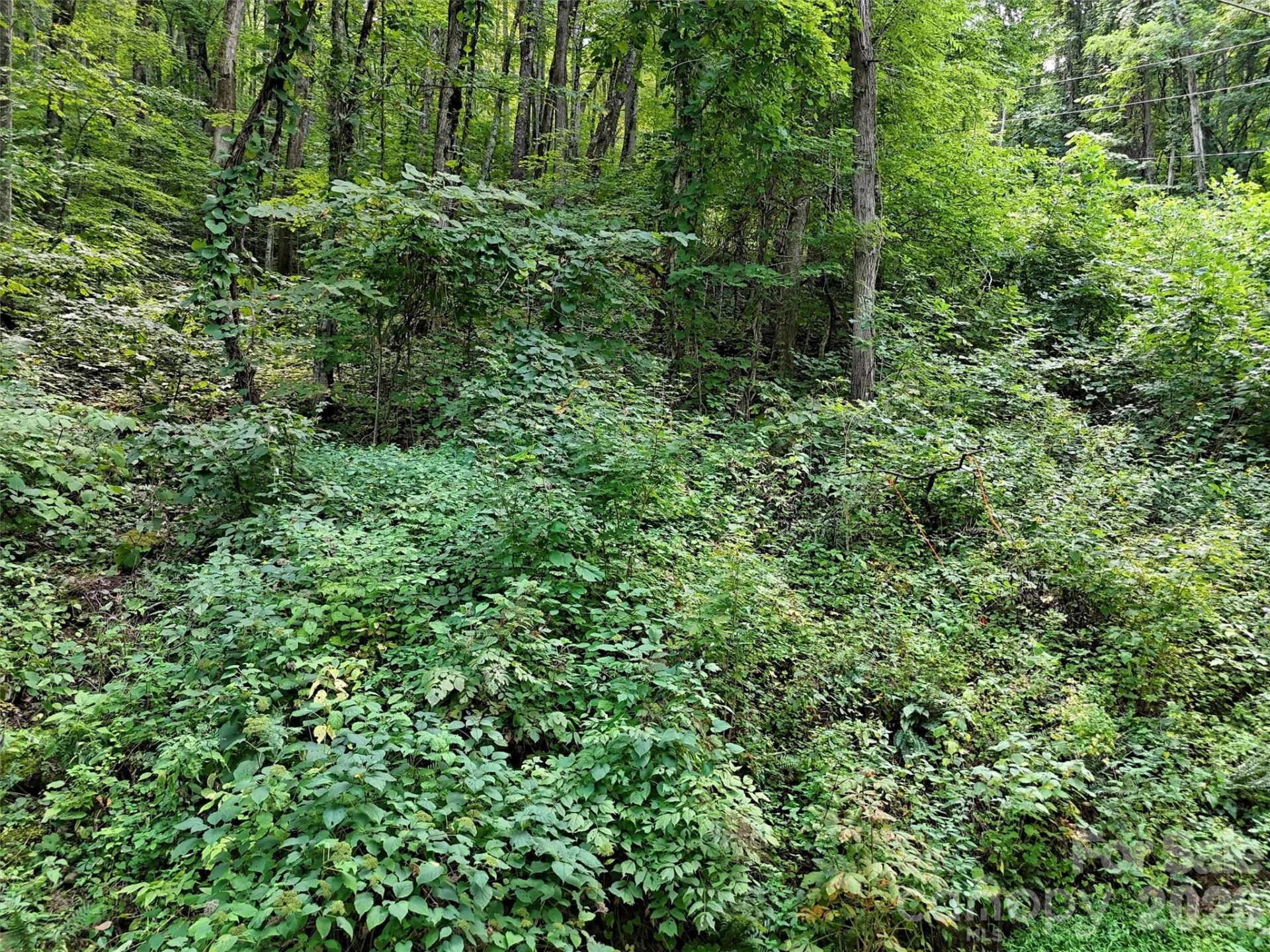 191 Merrie Way #62 - Photo 7