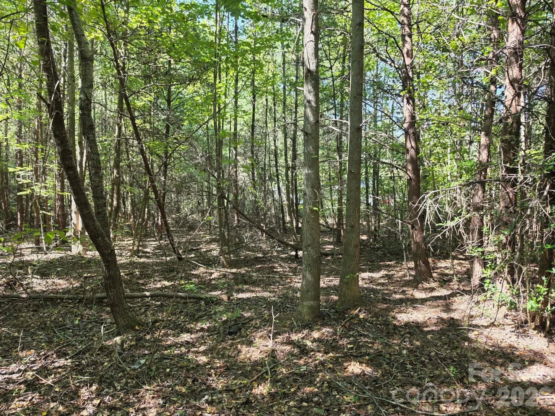 TBD Pinkwood Drive - Photo 14