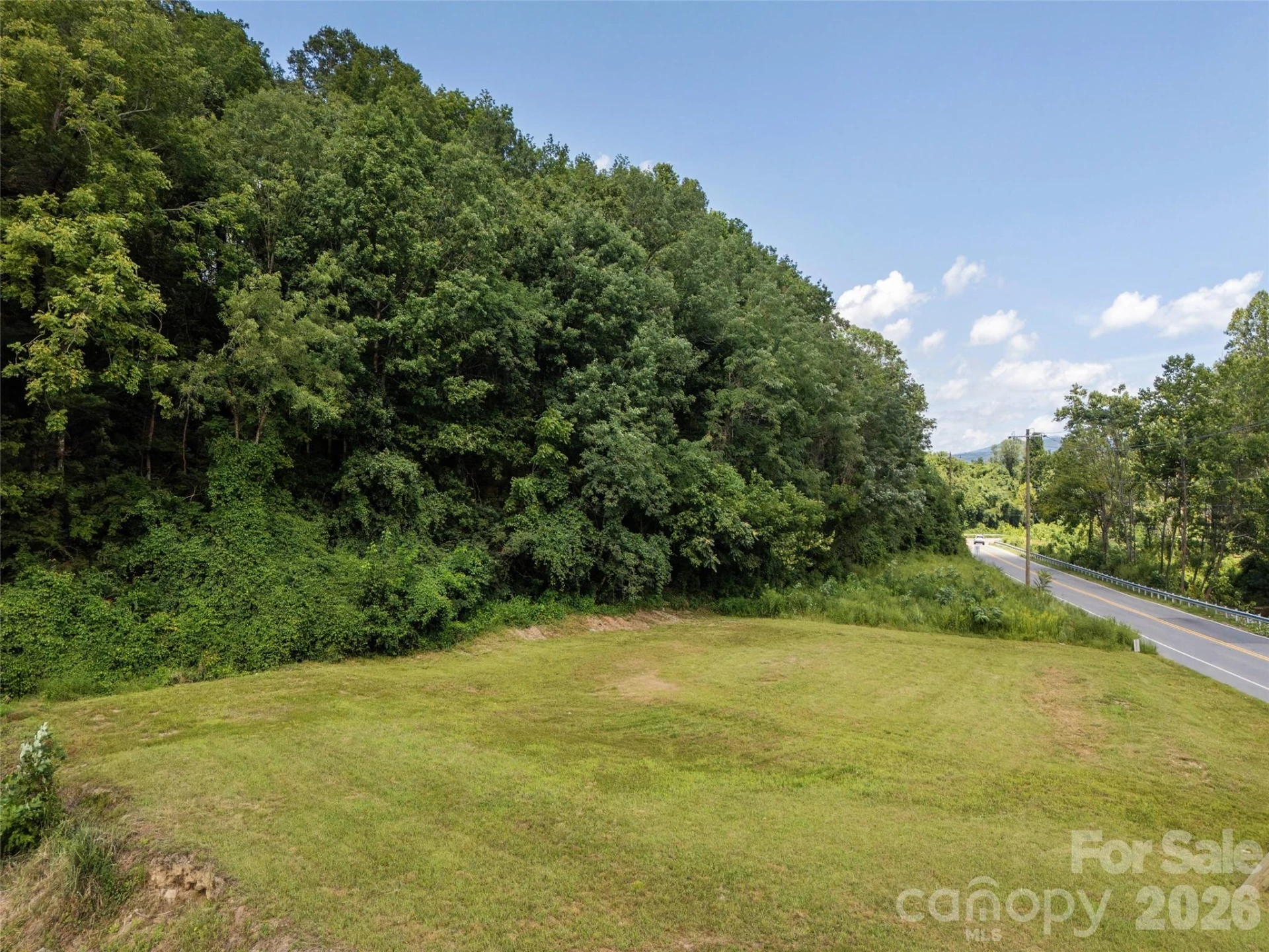 254 Swannanoa River Road - Photo 9