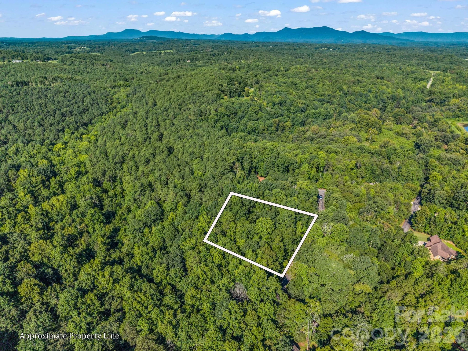 000 Rambling Creek Road - Photo 2