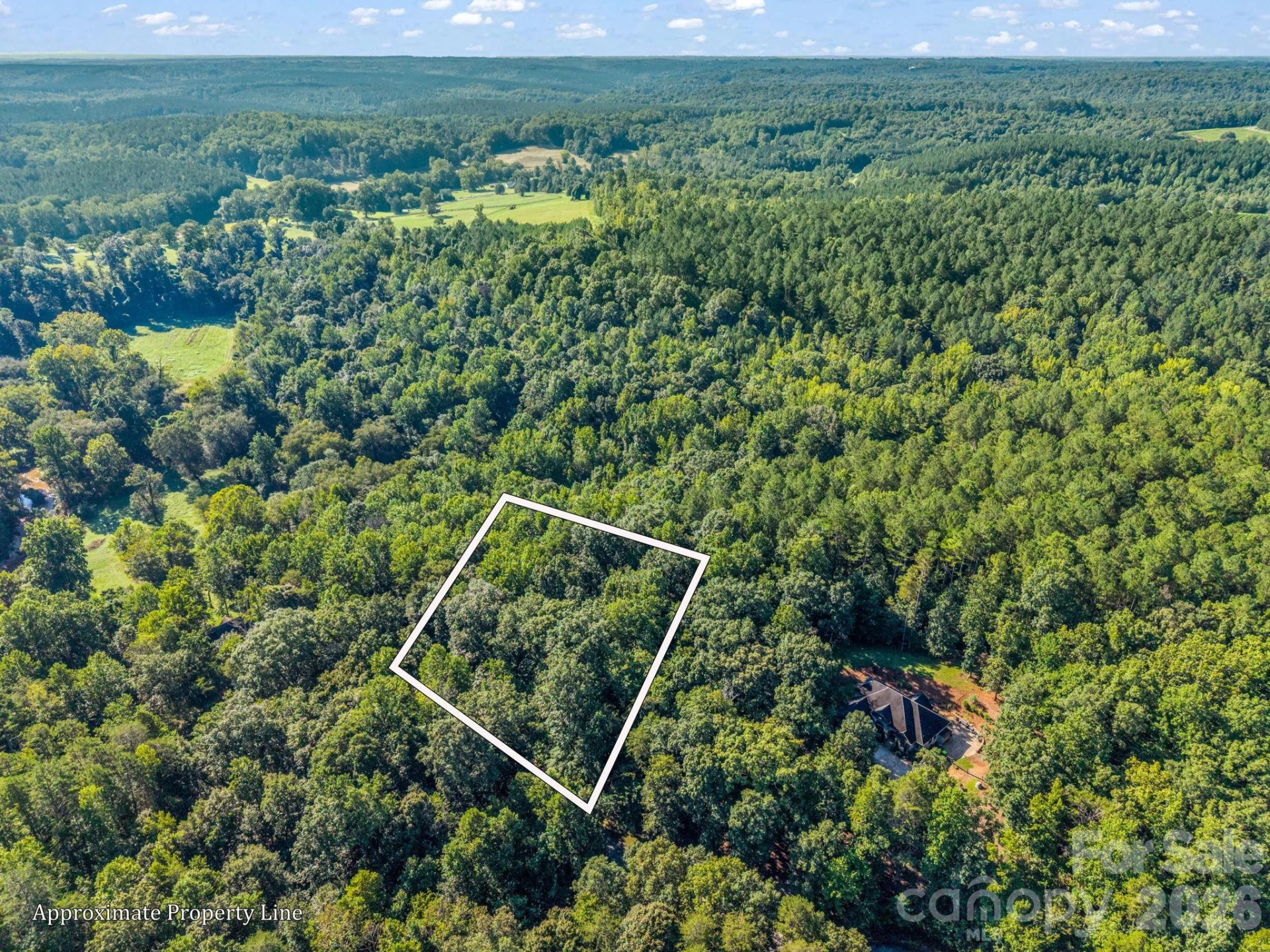 000 Rambling Creek Road - Photo 3