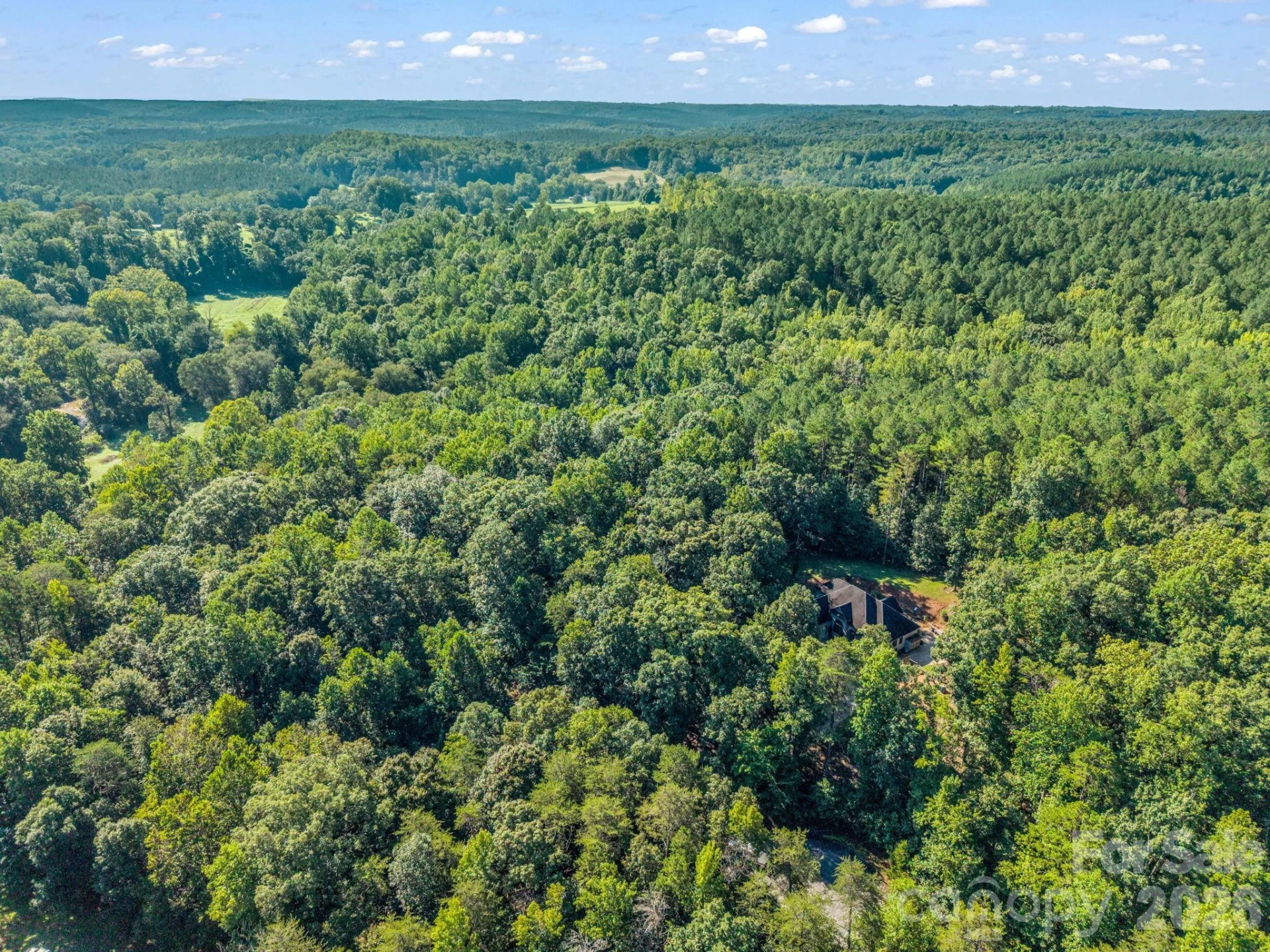 000 Rambling Creek Road - Photo 4