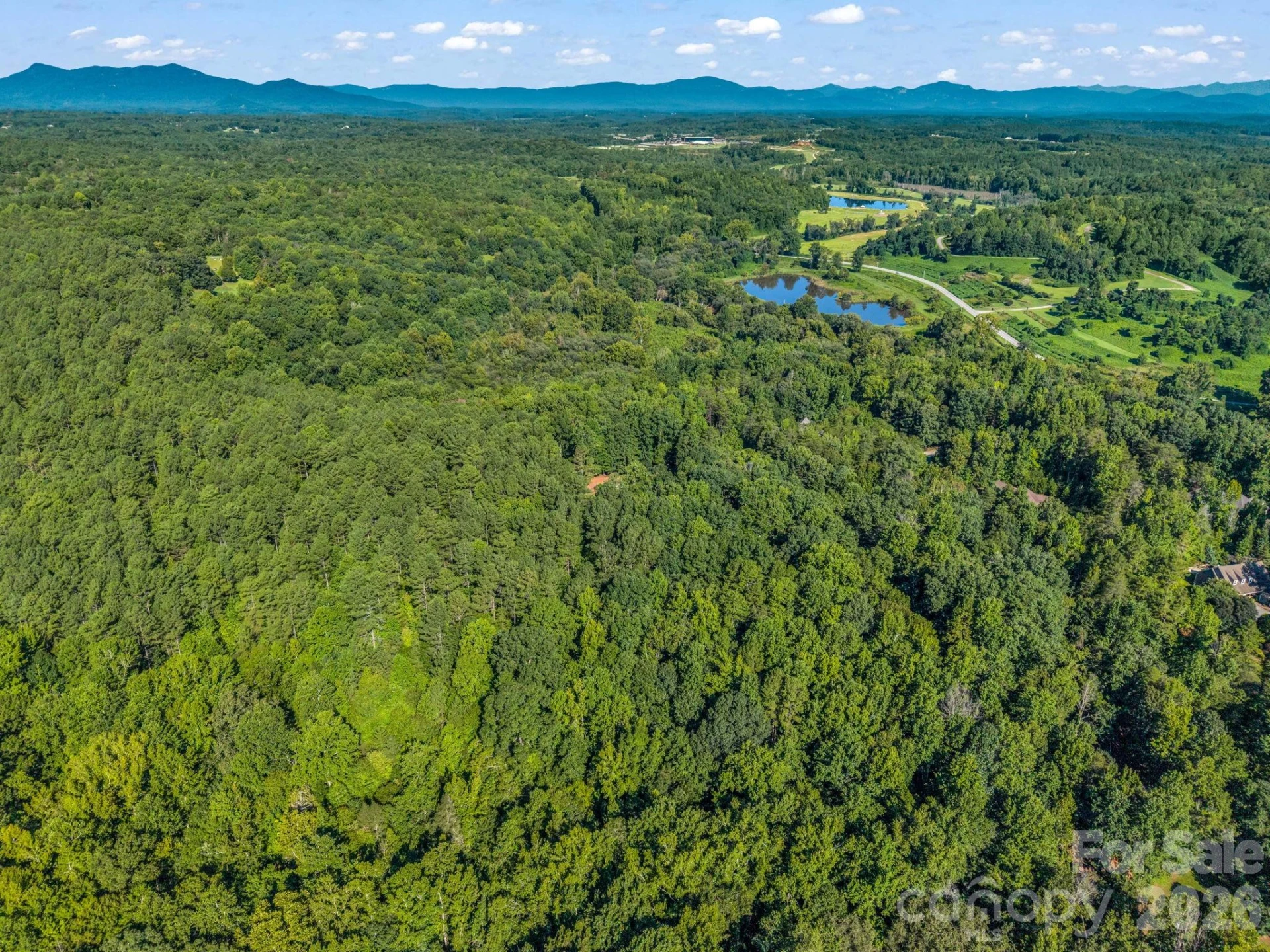 000 Rambling Creek Road - Photo 5