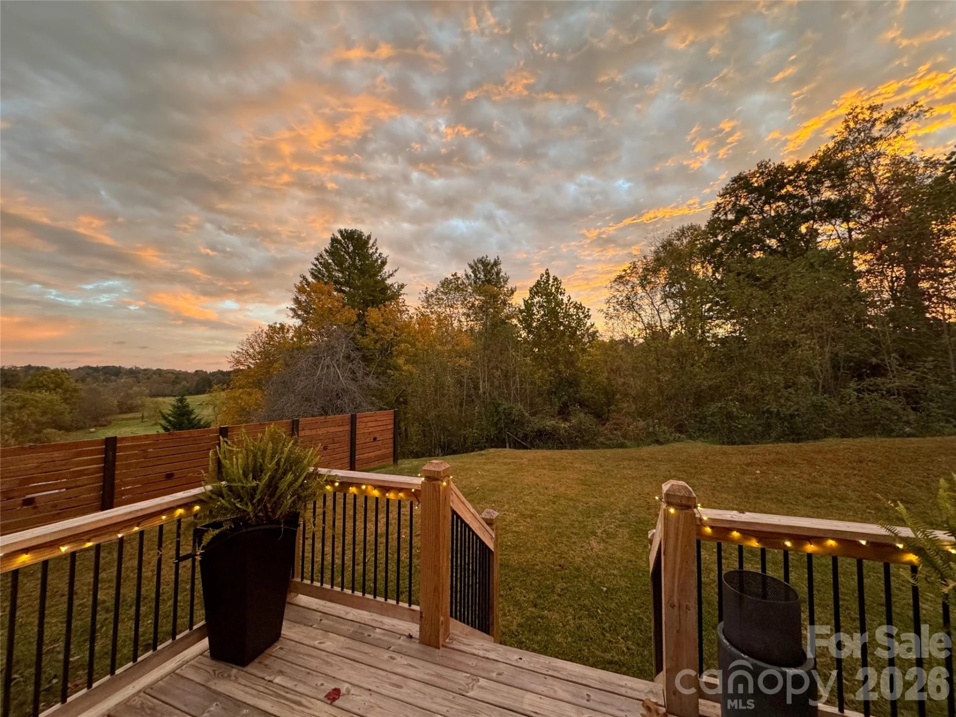 255 Dix Creek No 1 Road - Photo 11